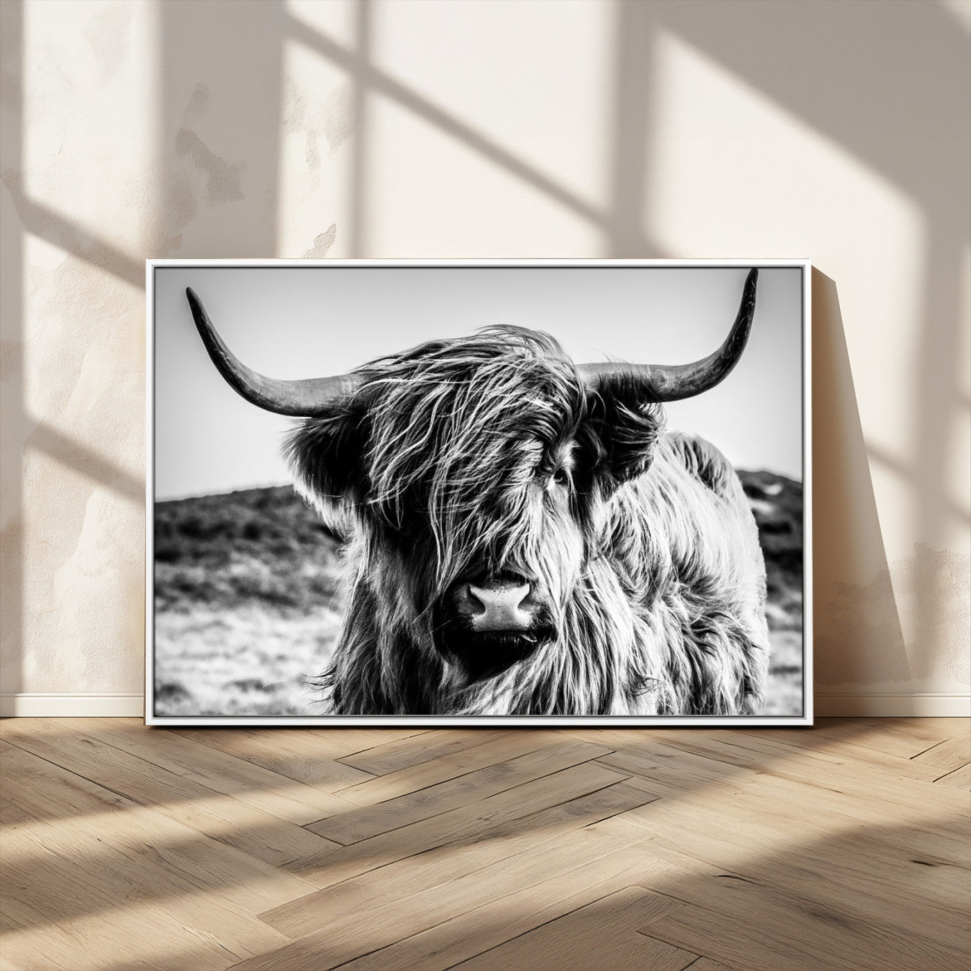 36979-MGV-CV-36X24-Striking black-and-white portrait of a Highland cow with flowing fur and majestic horns, perfect for rustic and elegant home or