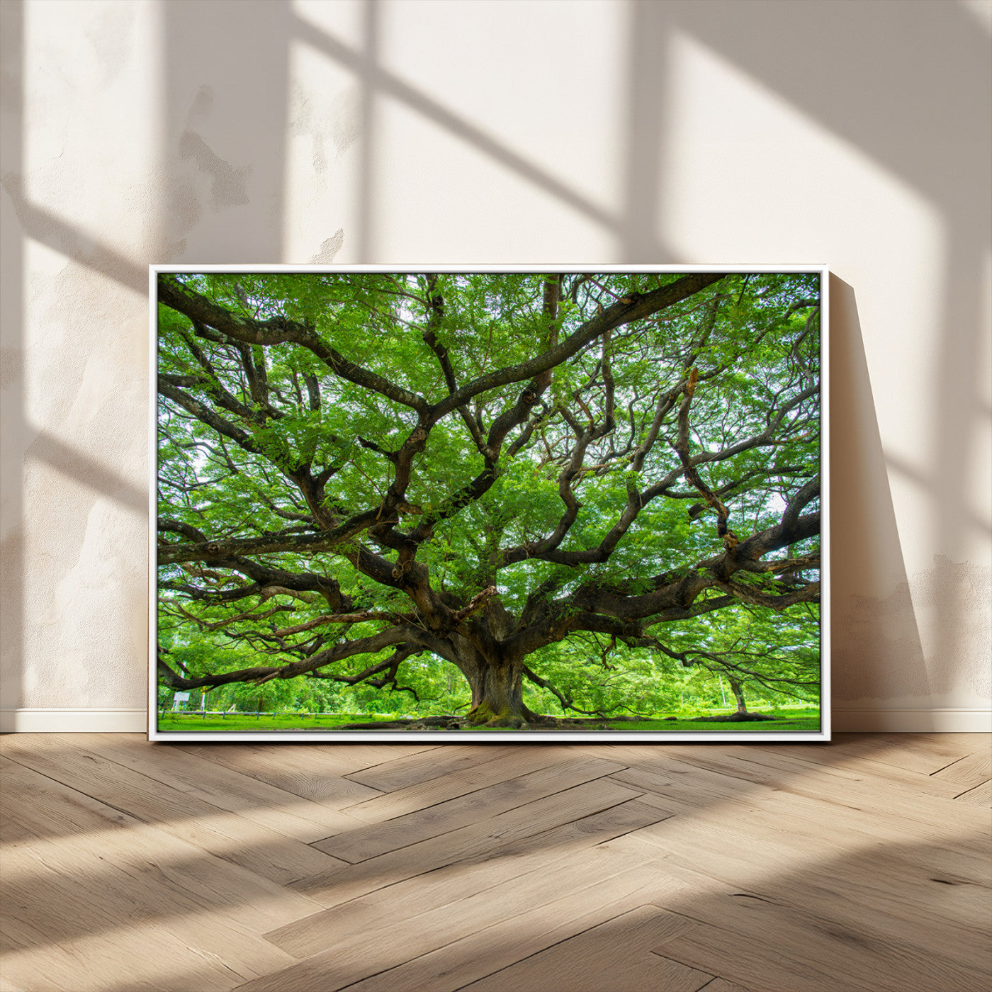 49375306-MGV-CV-36X24-Ancient Tree Wall Art Canvas Print, Framed Sprawling Branches Art Picture Print, Gnarling Tree Perfect Earthy Natural Decor
