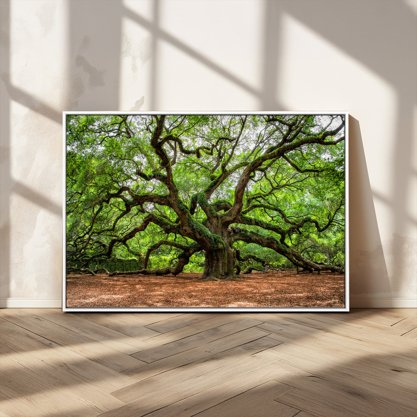 51255351-MGV-CV-36X24-Ancient Tree Wall Art – Majestic Oak Canvas Print, Large Nature Photography, Sacred Forest Landscape Wall Décor, Wisdom Tree