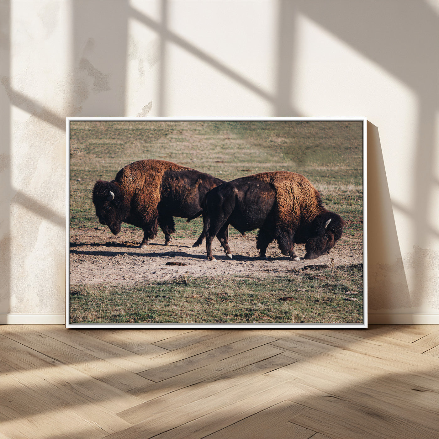 58141885-MGV-FC-36X24_White-Bison Photography Wall Art Canvas Print, Framed Western Wildlife Art Picture Print, Modern Ranch Perfect Western Rustic Decor