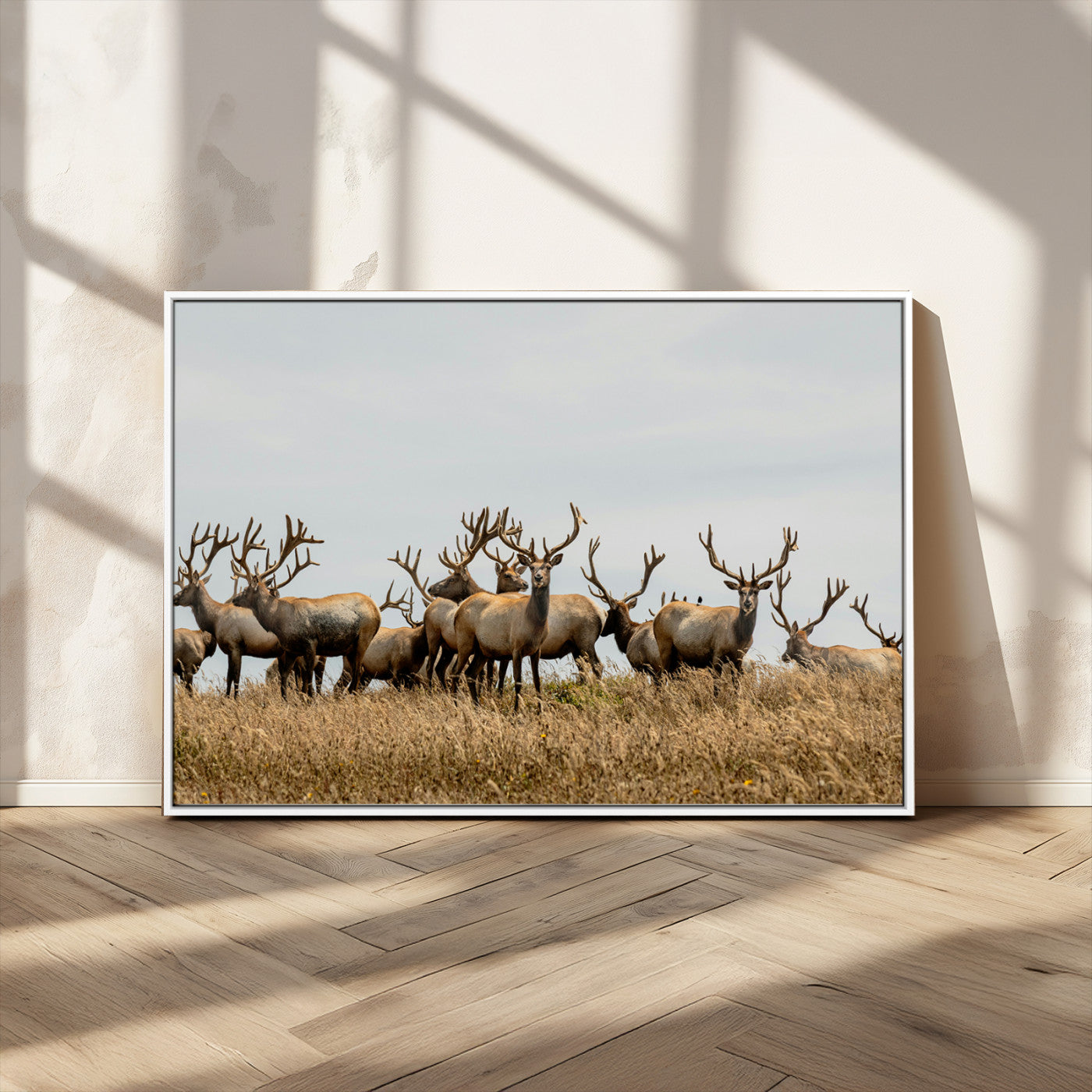 42170220-MGV-CV-36X24-Elk Herd Wall Art Canvas Print, Framed Wildlife Photography Art Picture Print, Majestic Antlers Perfect Rustic Wildlife Decor