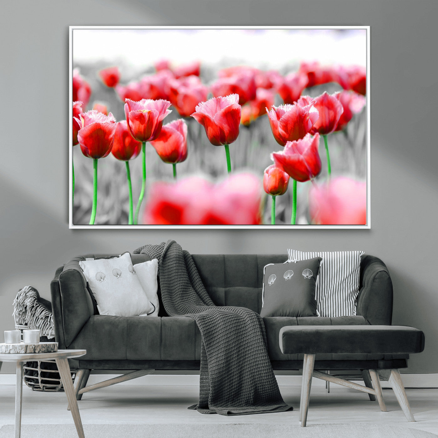 44554-MGV-CV-36X24-Vibrant red tulips stand out beautifully against a black-and-white background, making a striking decor piece perfect for any home