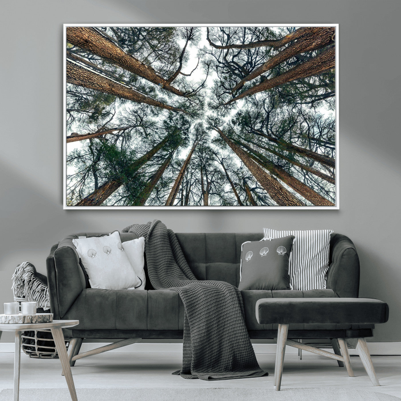 18790-MGV-CV-36X24-Pine Canopy Wall Art – Panoramic View of Towering Pines Canvas Print, Nature-Inspired Decor for Office, Cabin or Living Room