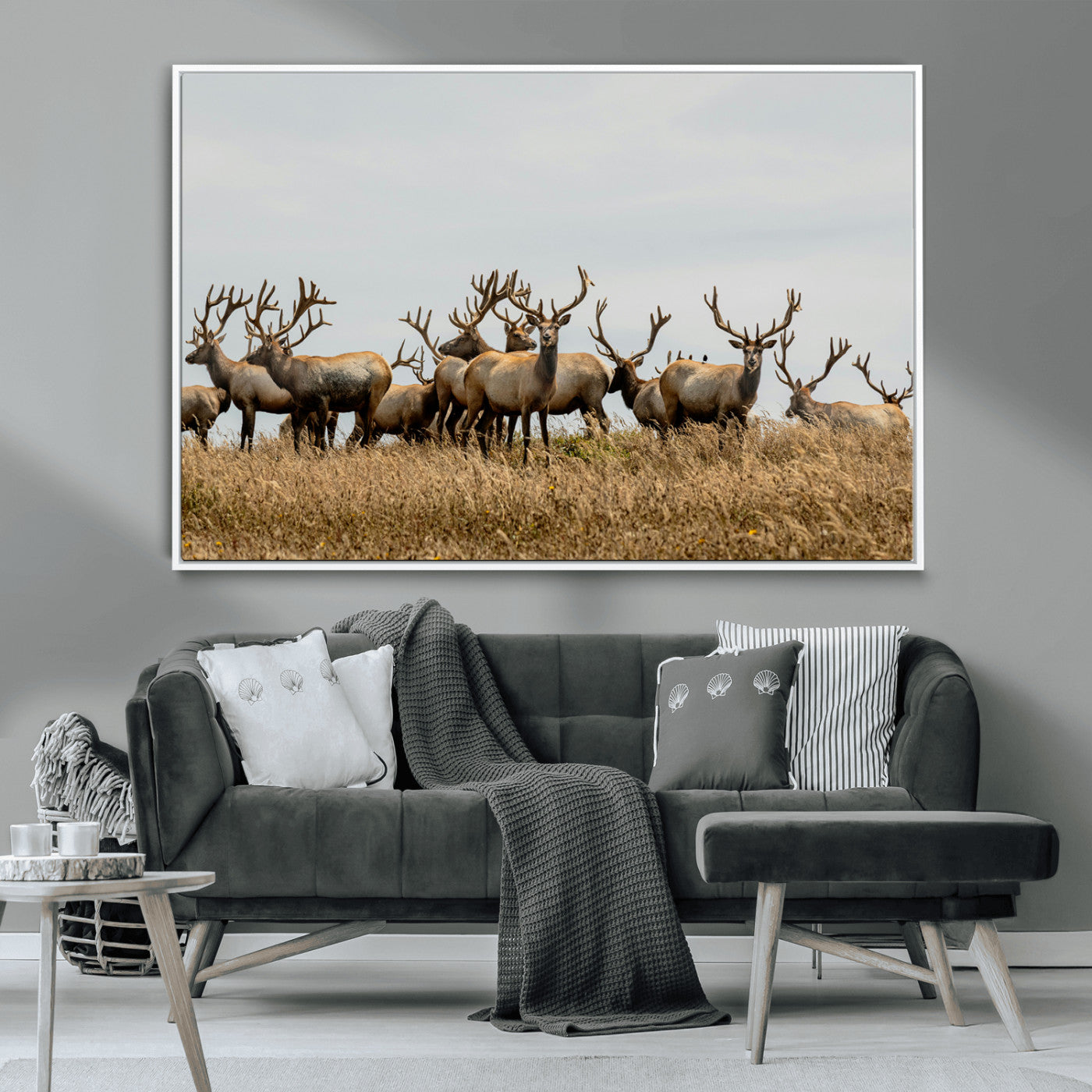 42170220-MGV-CV-36X24-Elk Herd Wall Art Canvas Print, Framed Wildlife Photography Art Picture Print, Majestic Antlers Perfect Rustic Wildlife Decor