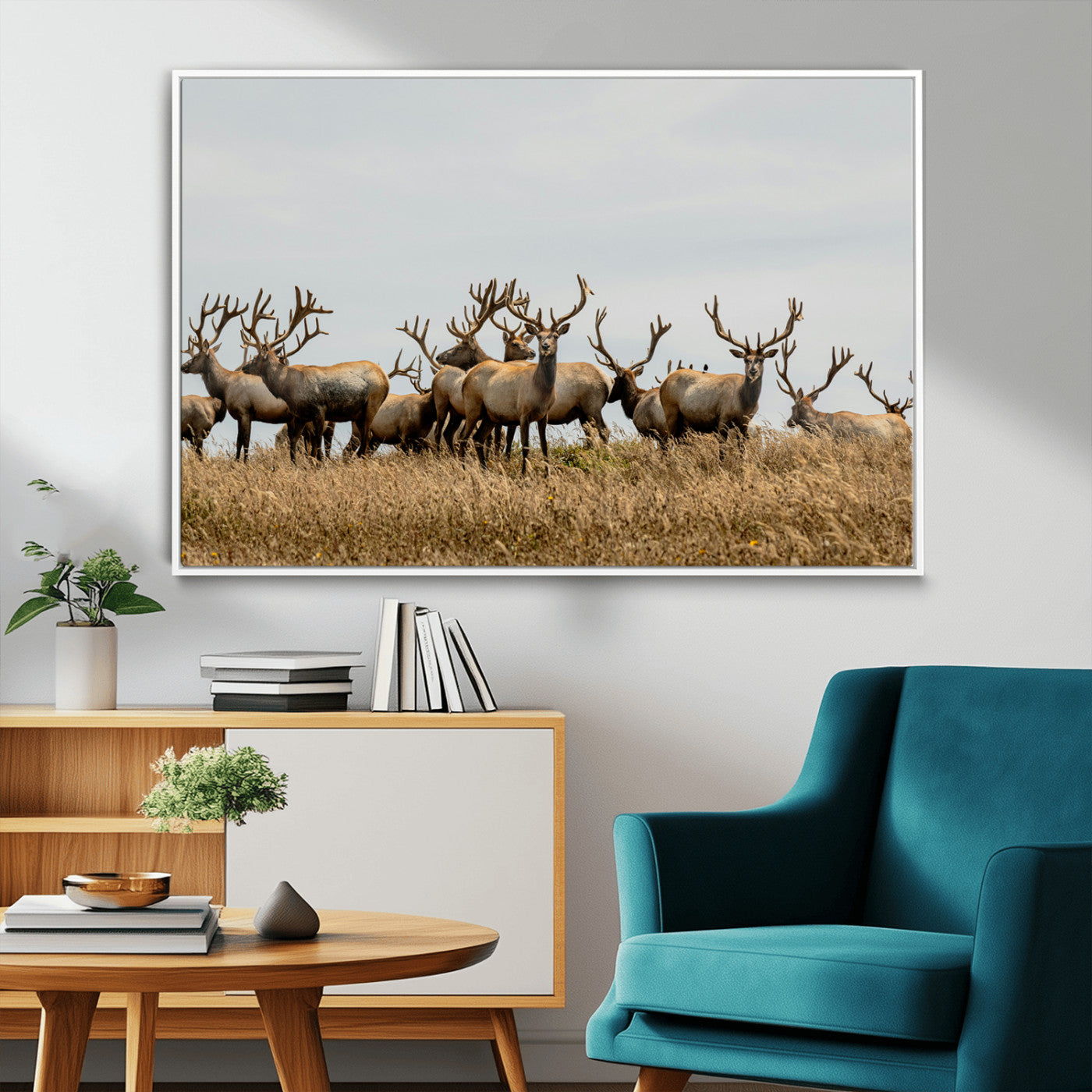 42170220-MGV-FC-36X24_White-Elk Herd Wall Art Canvas Print, Framed Wildlife Photography Art Picture Print, Majestic Antlers Perfect Rustic Wildlife Decor