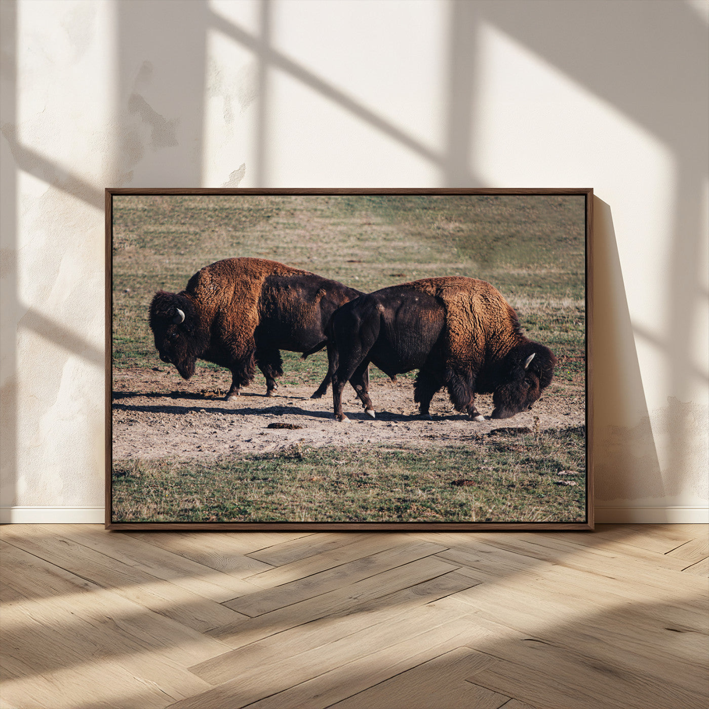 58141885-MGV-CV-36X24-Bison Photography Wall Art Canvas Print, Framed Western Wildlife Art Picture Print, Modern Ranch Perfect Western Rustic Decor