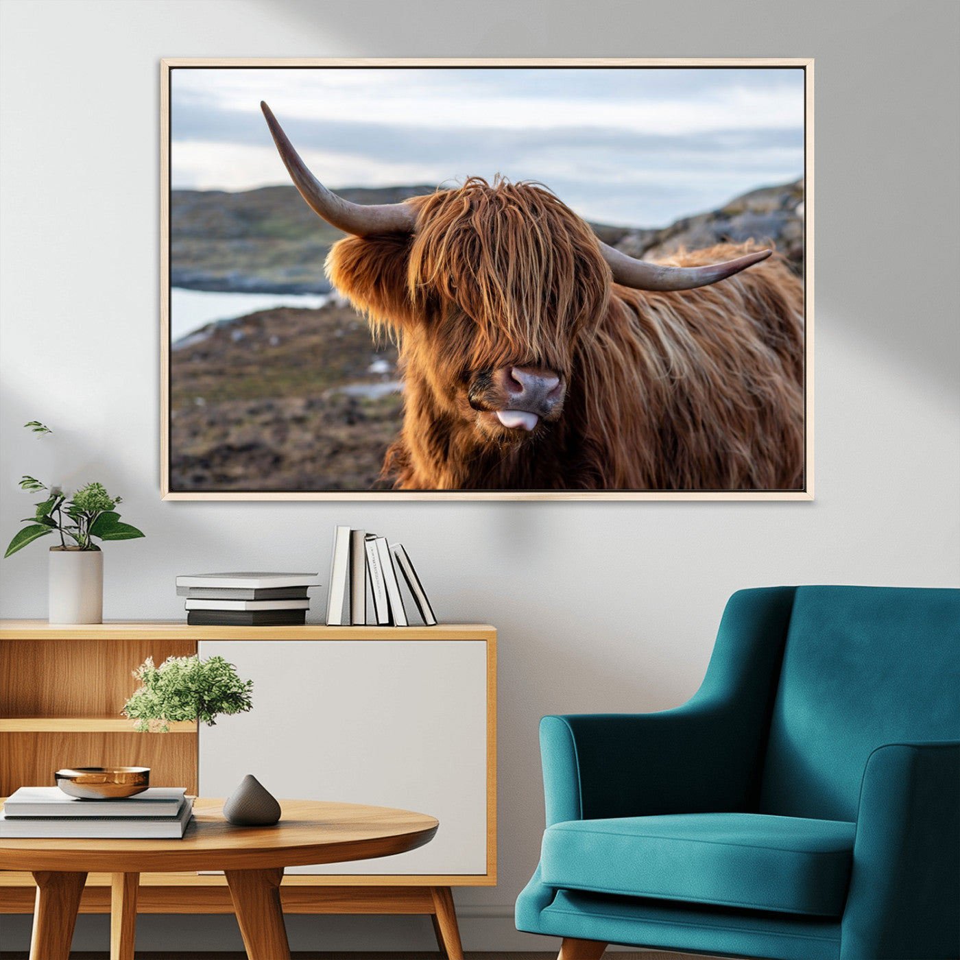 71222-MGV-CV-36X24-A playful Highland cow with shaggy fur sticks out its tongue, set against a rugged landscape — perfect for quirky home or office
