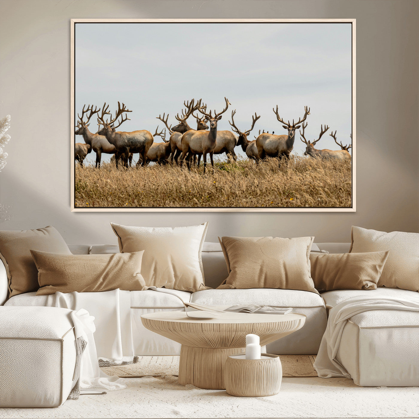 42170220-MGV-CV-36X24-Elk Herd Wall Art Canvas Print, Framed Wildlife Photography Art Picture Print, Majestic Antlers Perfect Rustic Wildlife Decor