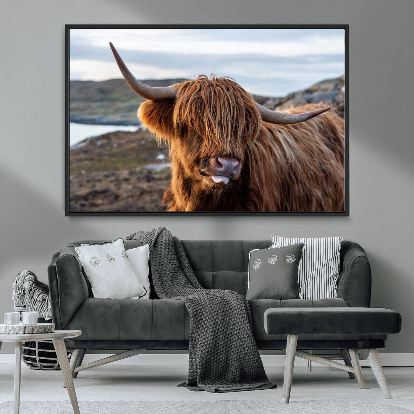 71222-MGV-CV-36X24-A playful Highland cow with shaggy fur sticks out its tongue, set against a rugged landscape — perfect for quirky home or office