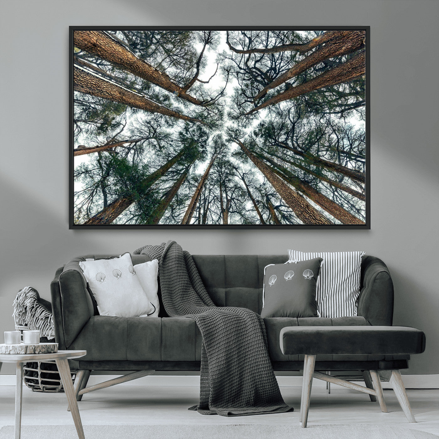 18790-MGV-CV-36X24-Pine Canopy Wall Art – Panoramic View of Towering Pines Canvas Print, Nature-Inspired Decor for Office, Cabin or Living Room