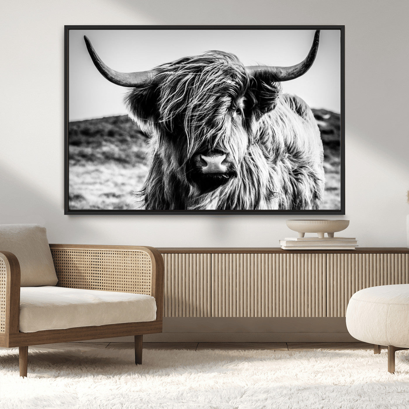 36979-MGV-CV-36X24-Striking black-and-white portrait of a Highland cow with flowing fur and majestic horns, perfect for rustic and elegant home or