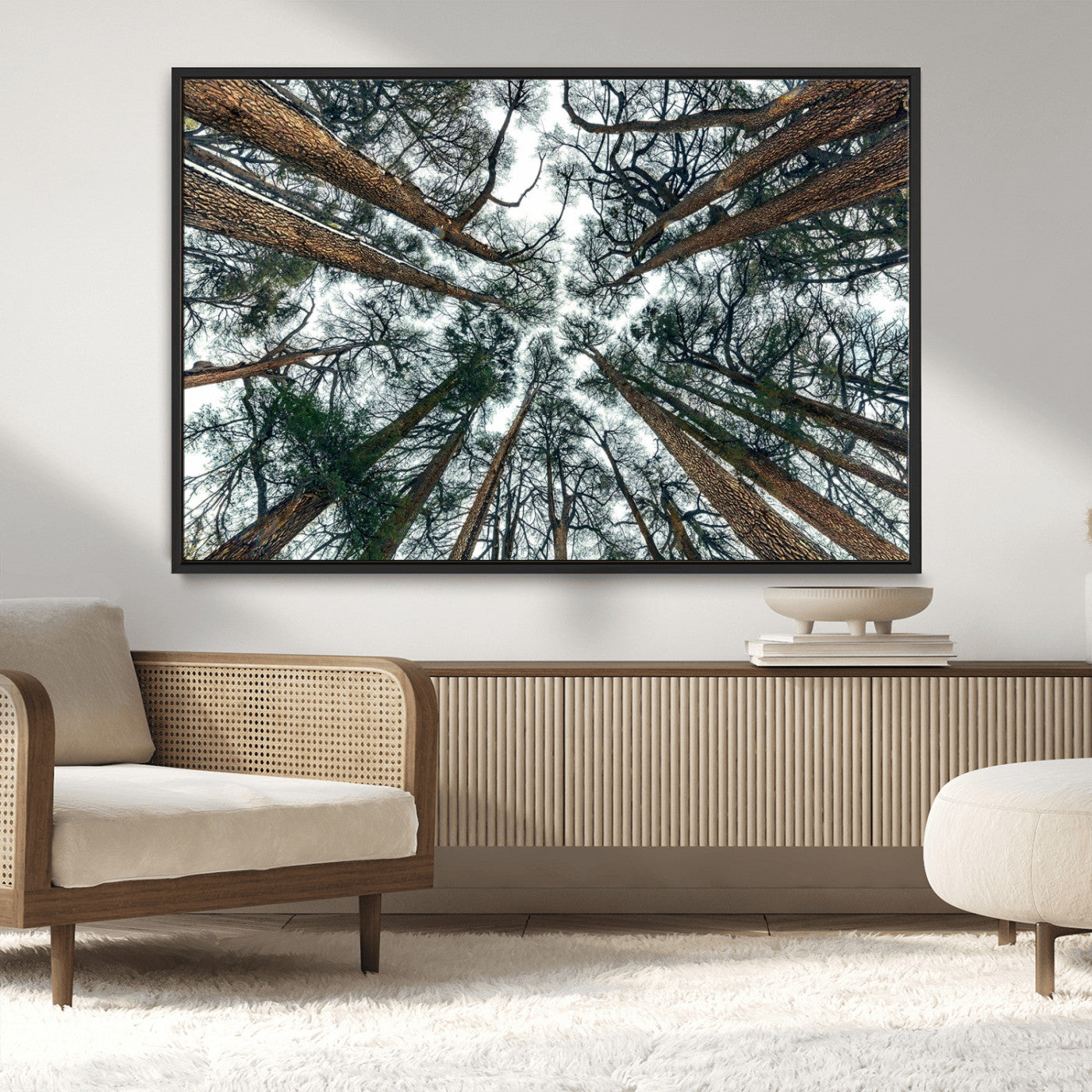 18790-MGV-FC-36X24_Black-Pine Canopy Wall Art – Panoramic View of Towering Pines Canvas Print, Nature-Inspired Decor for Office, Cabin or Living Room