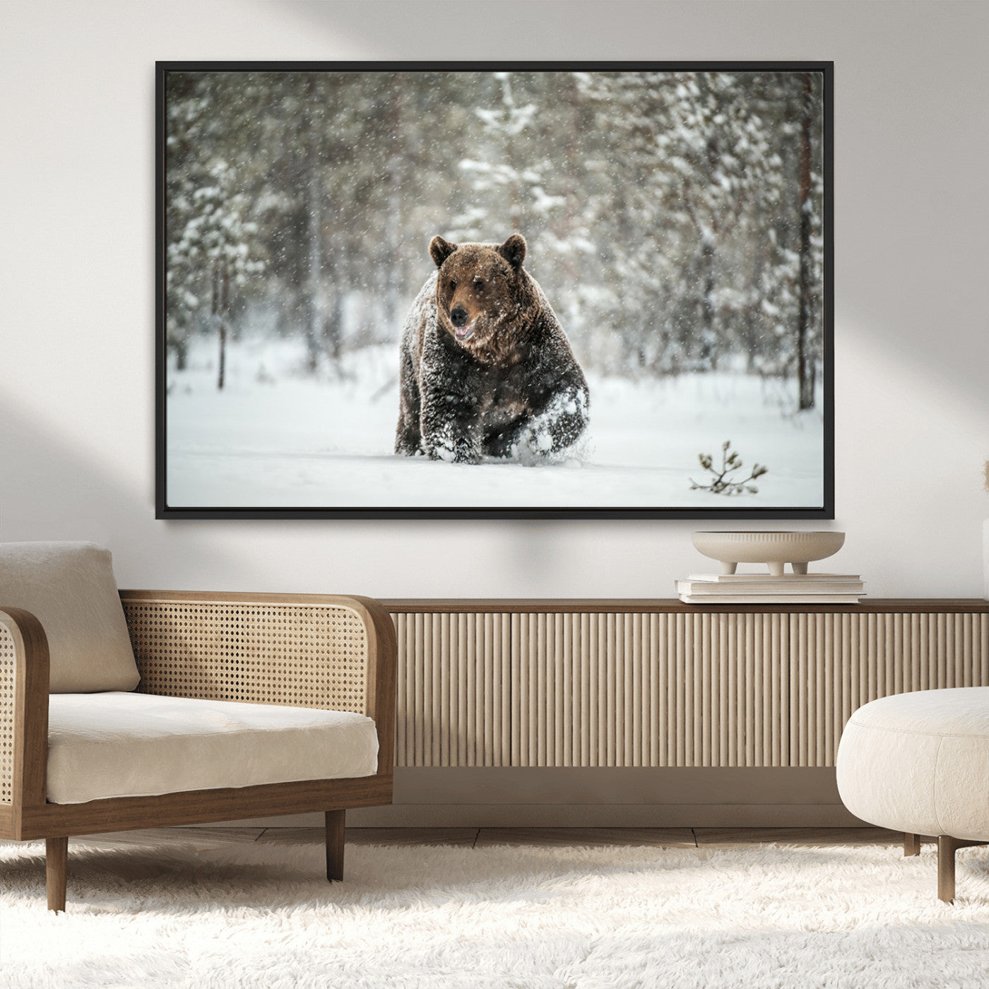 43350-MGV-CV-36X24-Wild Bear in Snow Wall Art – Majestic Wildlife Photography Print, Winter Forest Nature Decor for Cabin, Lodge, Rustic Home,