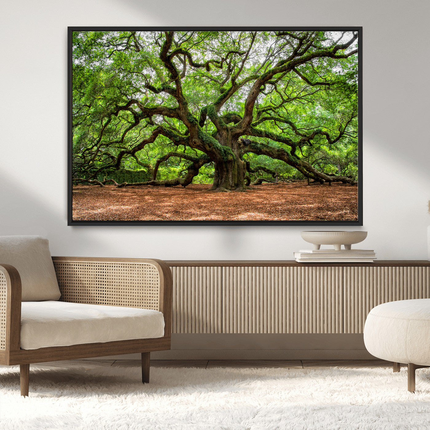 51255351-MGV-CV-36X24-Ancient Tree Wall Art – Majestic Oak Canvas Print, Large Nature Photography, Sacred Forest Landscape Wall Décor, Wisdom Tree