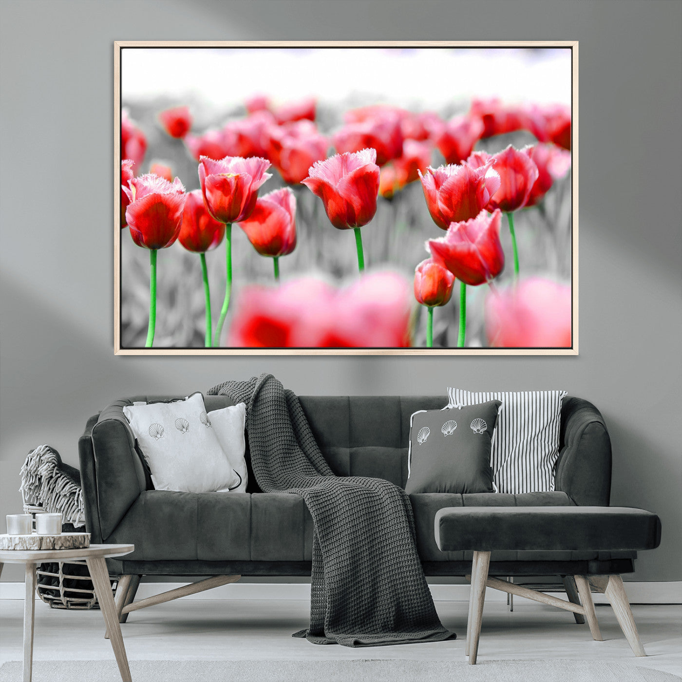 44554-MGV-CV-36X24-Vibrant red tulips stand out beautifully against a black-and-white background, making a striking decor piece perfect for any home