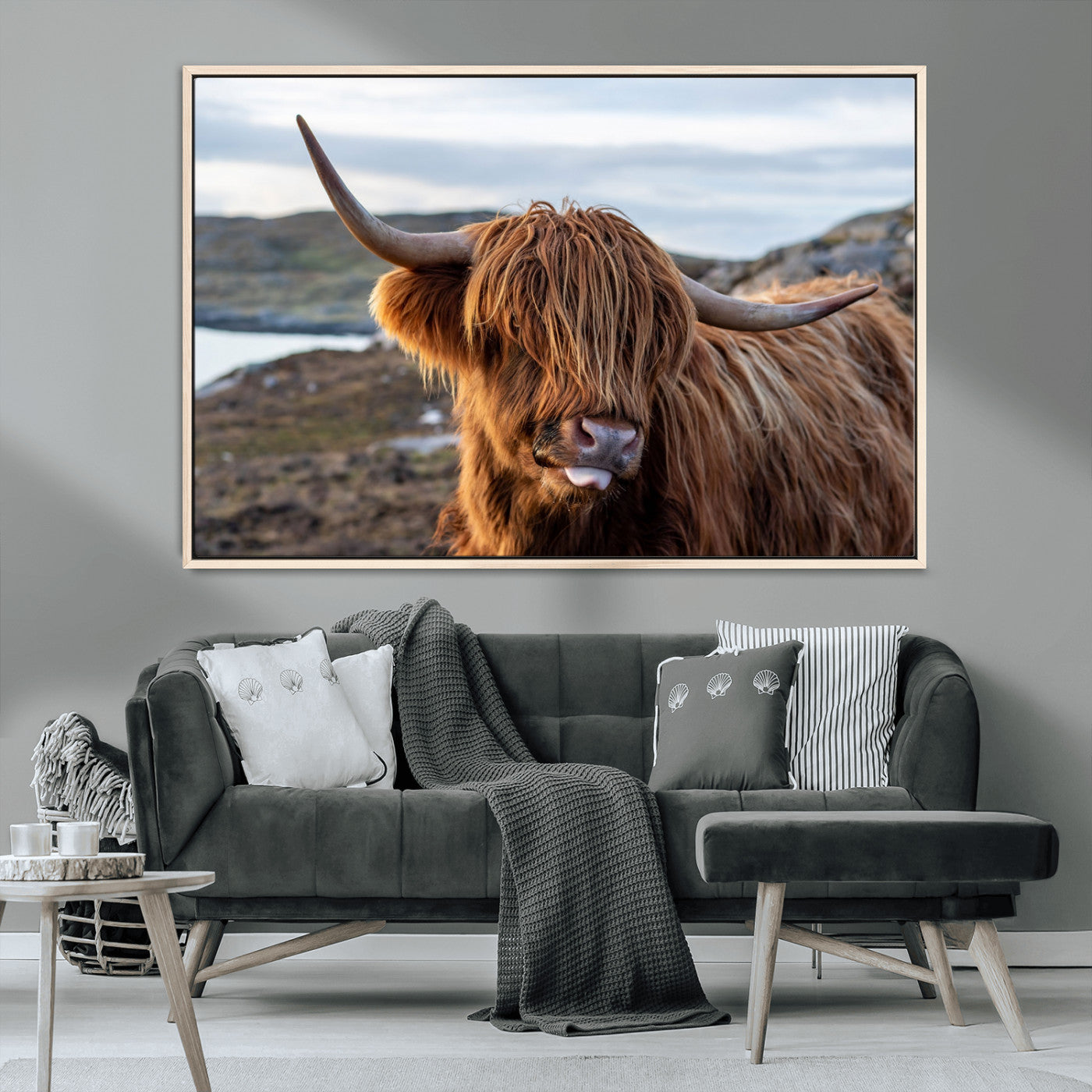 71222-MGV-CV-36X24-A playful Highland cow with shaggy fur sticks out its tongue, set against a rugged landscape — perfect for quirky home or office