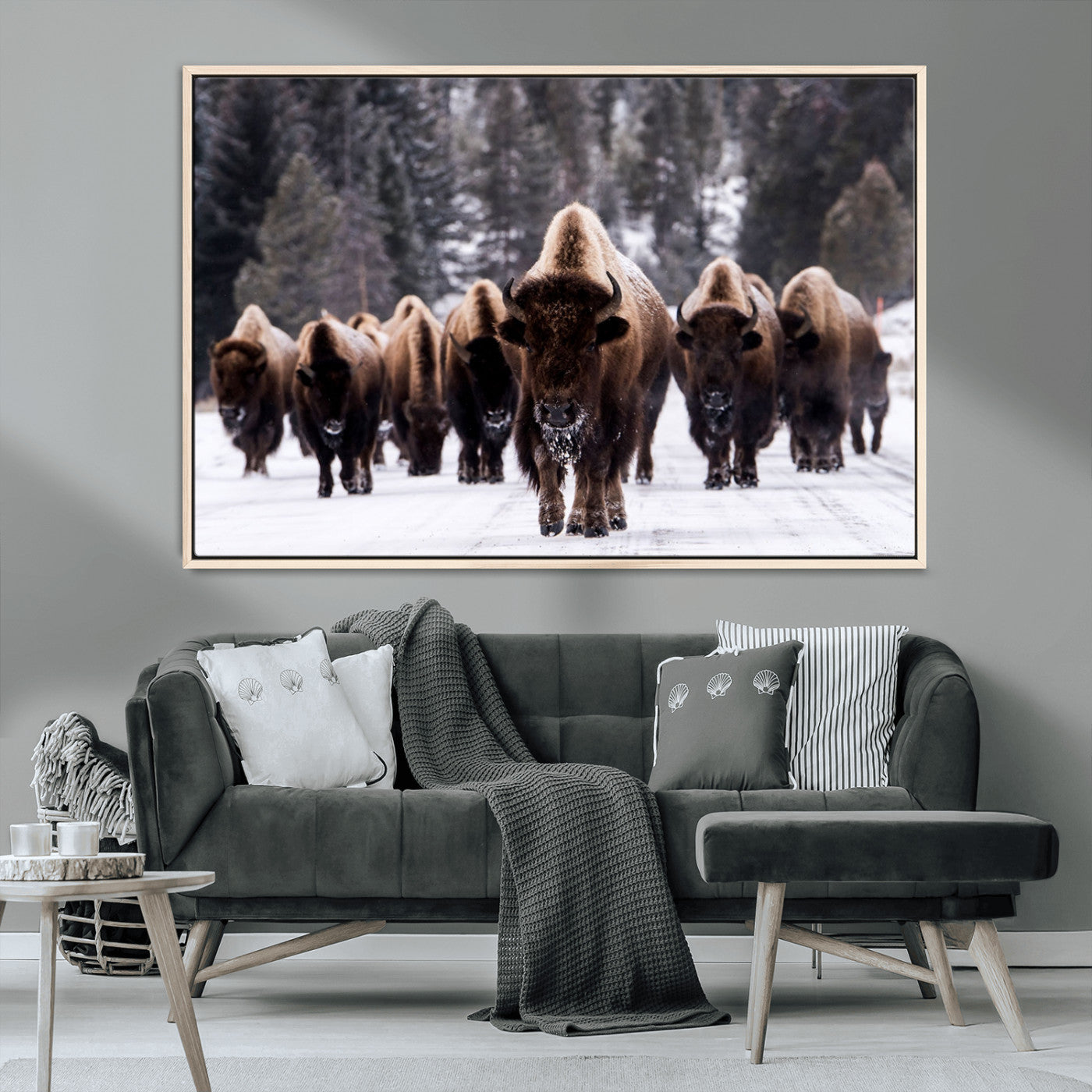 66871-MGV-CV-36X24-Bison Herd Wall Art – Wildlife Buffalo Canvas Print, Rustic Western Nature Photography Decor for Living Room, Office, Cabin, or