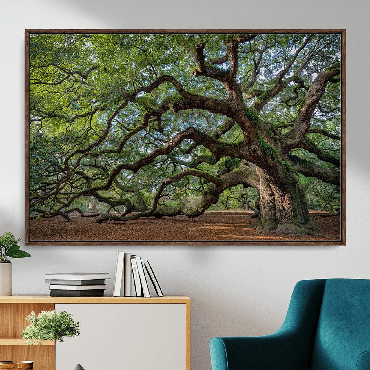MGV-FC-36X24 - Historic Tree Wall Art Canvas Print, Framed Mossy Tree Art Picture Print, Twisted Branches Perfect Nature Southern Decor Artwork