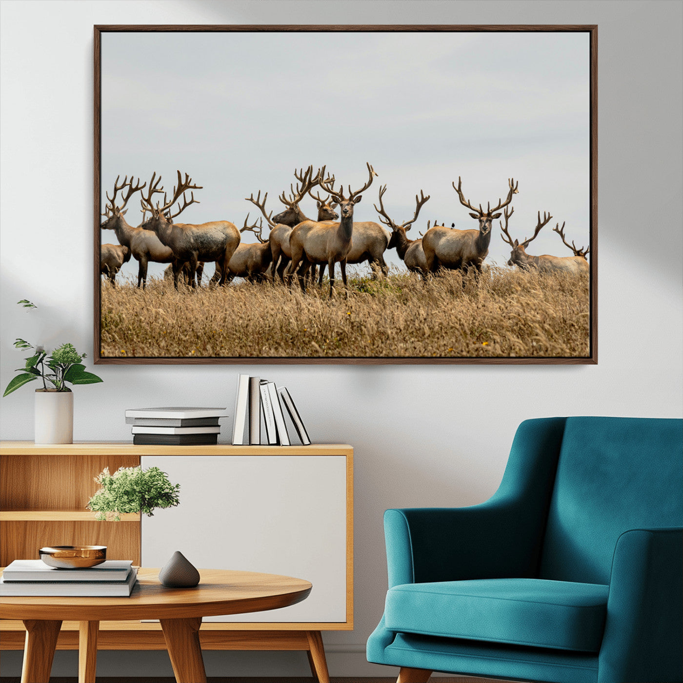 42170220-MGV-CV-36X24-Elk Herd Wall Art Canvas Print, Framed Wildlife Photography Art Picture Print, Majestic Antlers Perfect Rustic Wildlife Decor