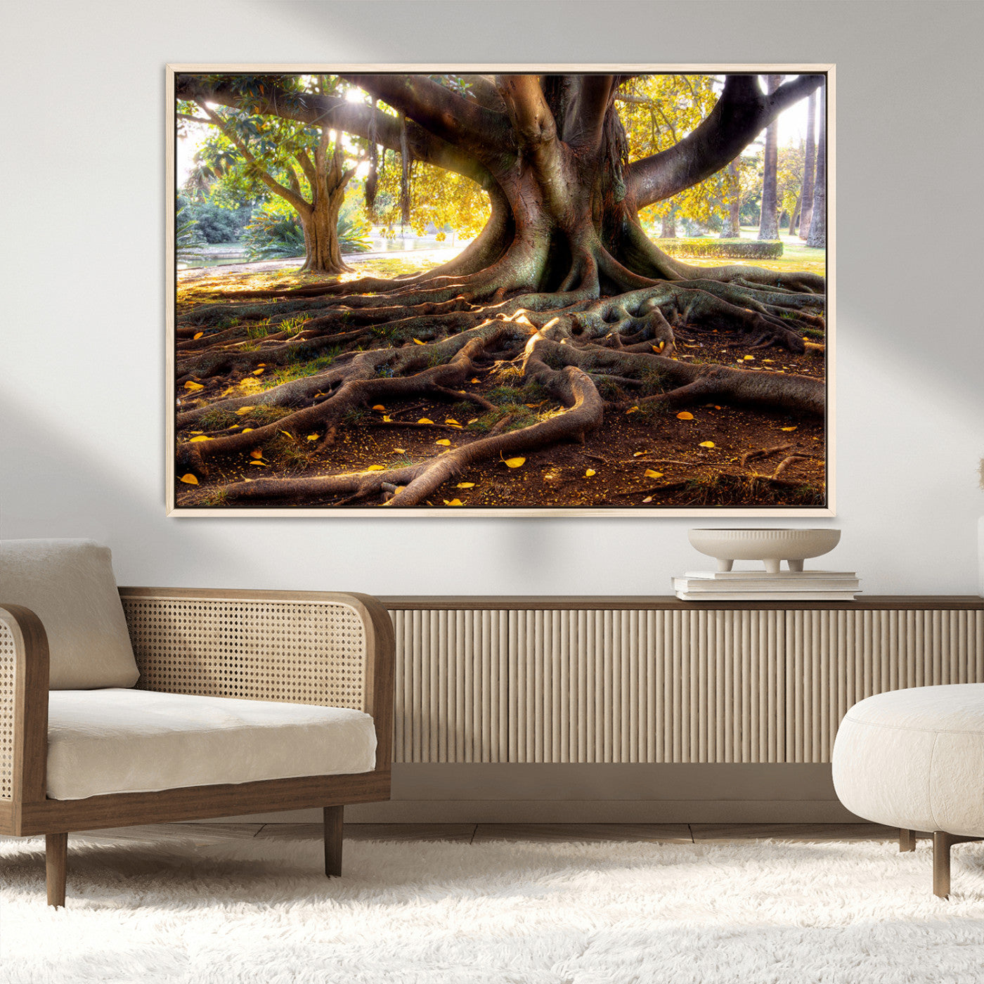 53335-MGV-CV-36X24-Majestic Tree with Sprawling Roots Wall Art – Serene Sunlit Park Scene, Nature Canvas Print, Perfect for Living Room, Office or