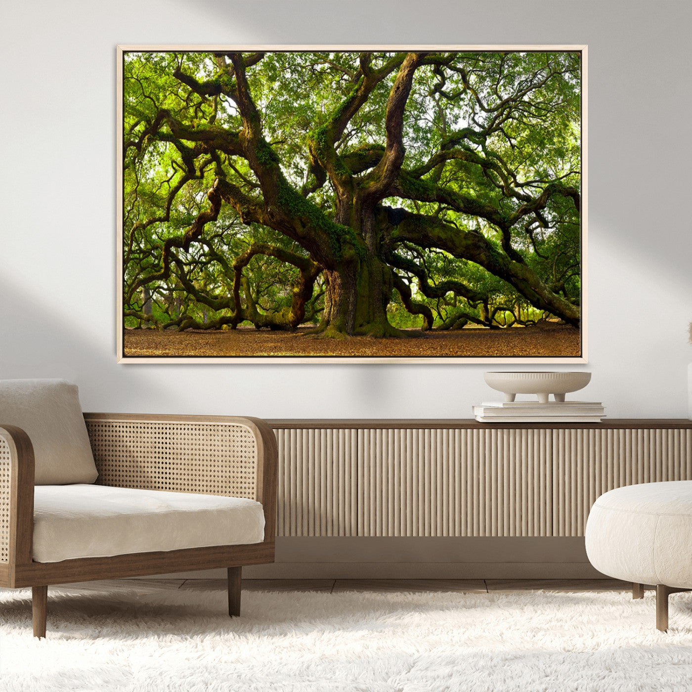 29407-MGV-FC-36X24_Natural-Ancient Oak Tree Wall Art – Majestic Nature Canvas Print, Large Tree Photography Decor for Living Room or Office