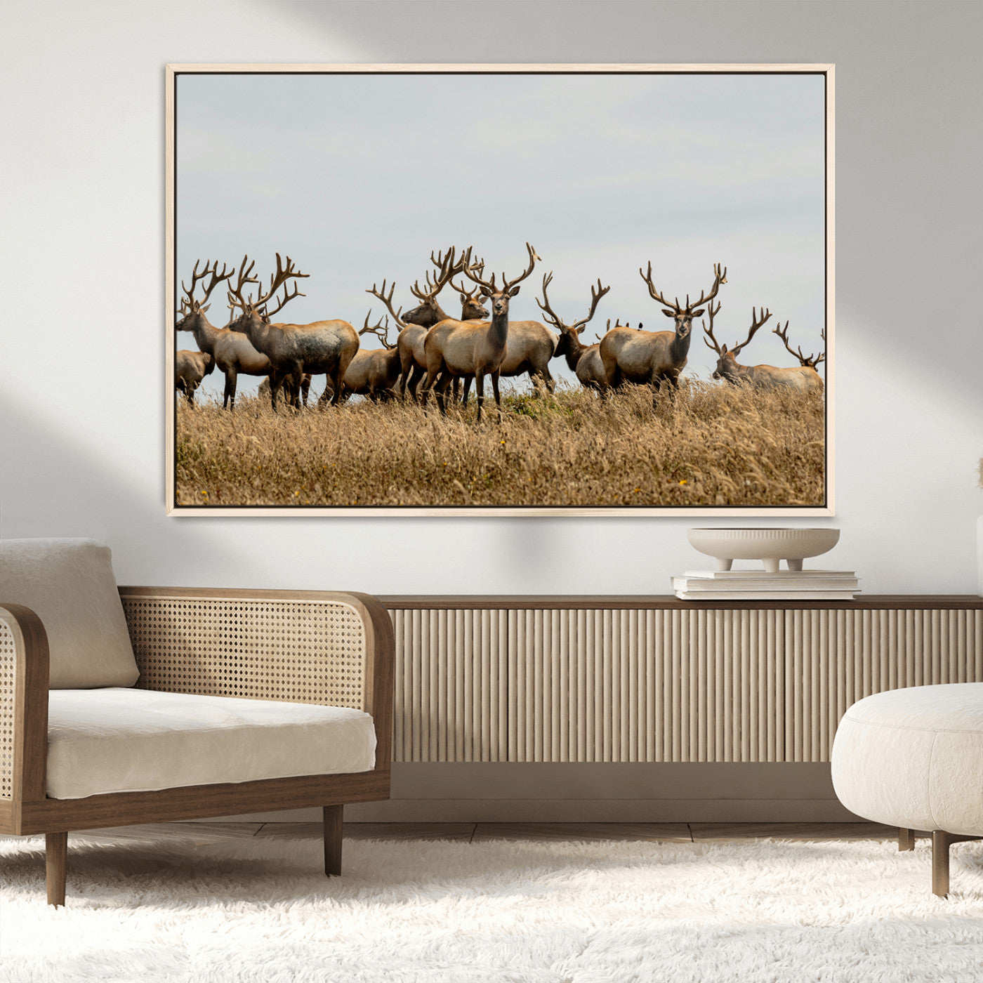 42170220-MGV-CV-36X24-Elk Herd Wall Art Canvas Print, Framed Wildlife Photography Art Picture Print, Majestic Antlers Perfect Rustic Wildlife Decor