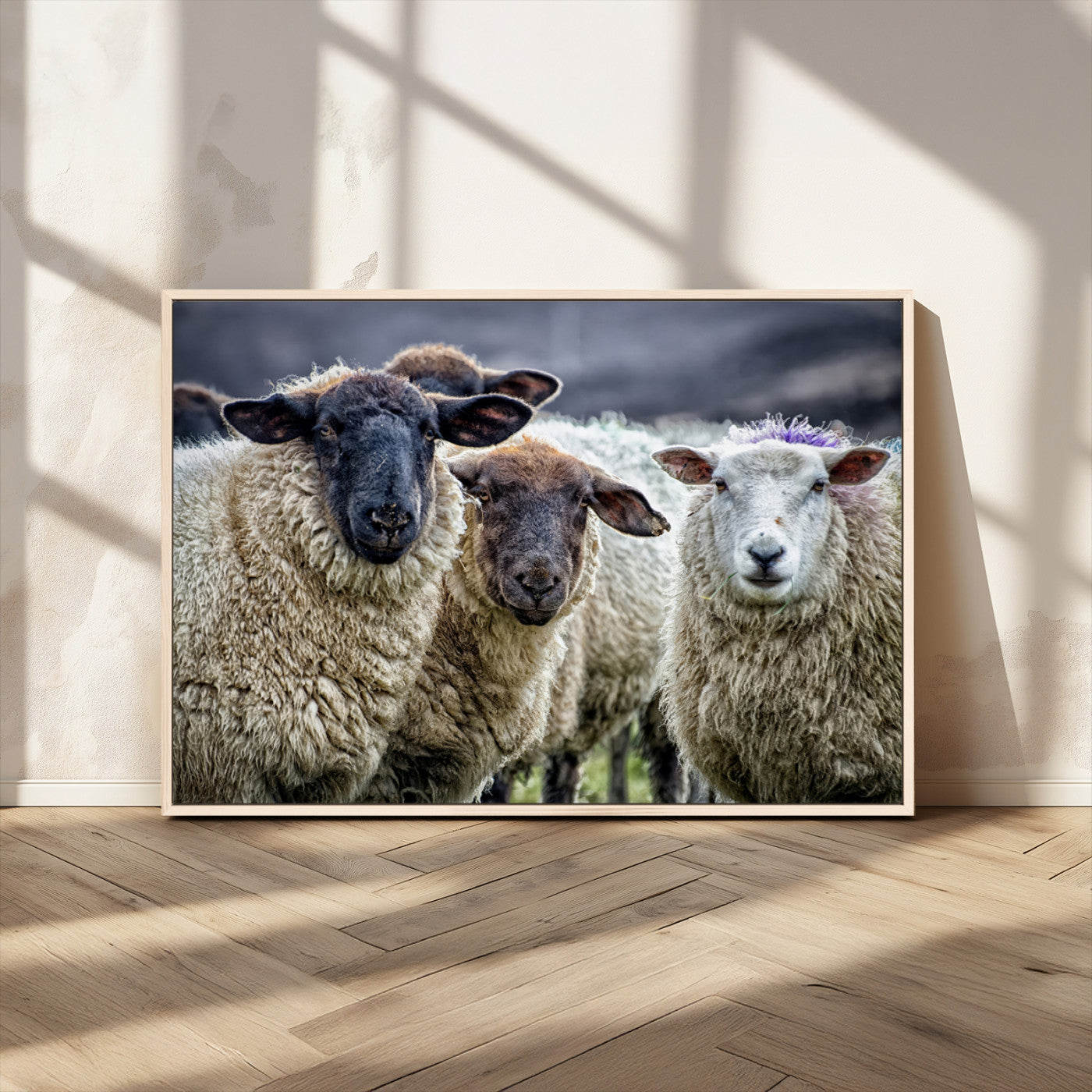 18418-MGV-CV-36X24-Sheep Wall Art Canvas Print, Framed Farmhouse Sheep Art Picture Print, Sheep Herd Perfect Rustic Farmhouse Decor Artwork