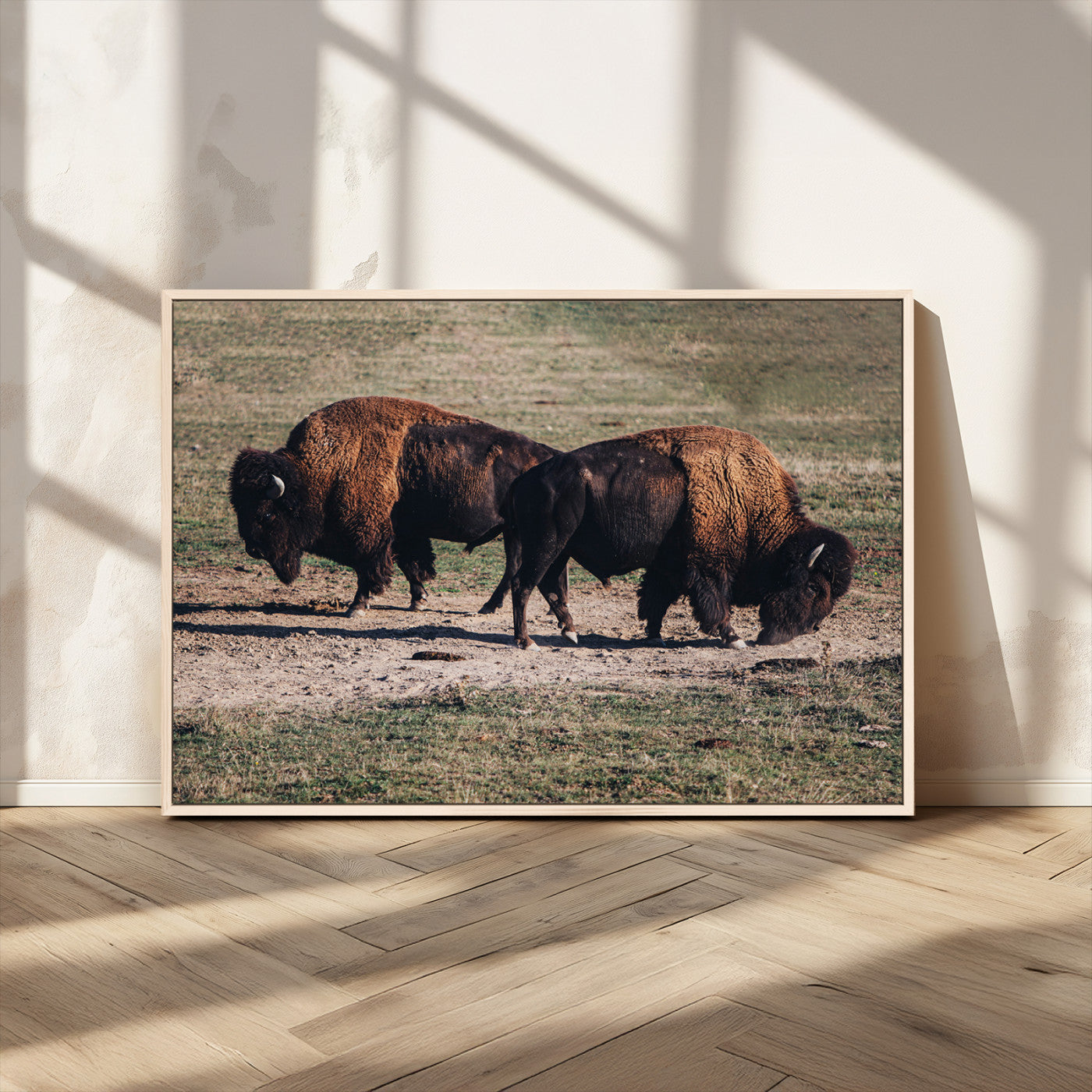 58141885-MGV-CV-36X24-Bison Photography Wall Art Canvas Print, Framed Western Wildlife Art Picture Print, Modern Ranch Perfect Western Rustic Decor