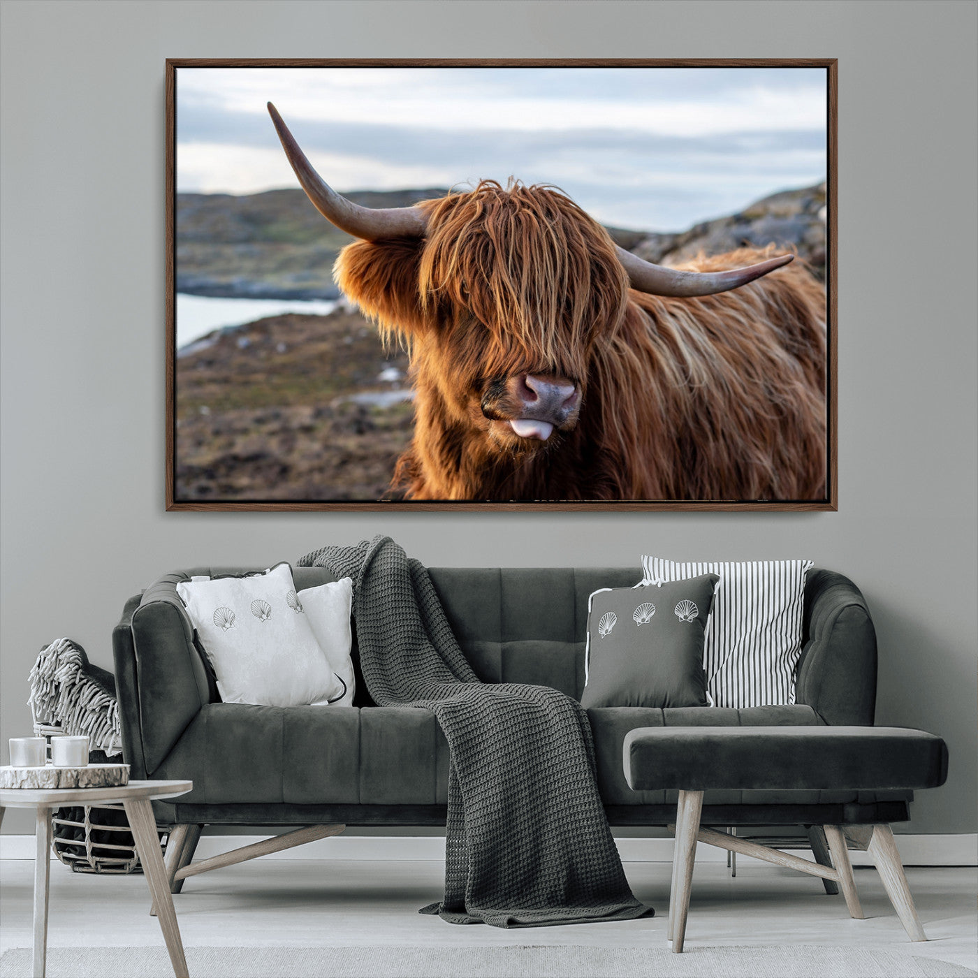 71222-MGV-CV-36X24-A playful Highland cow with shaggy fur sticks out its tongue, set against a rugged landscape — perfect for quirky home or office
