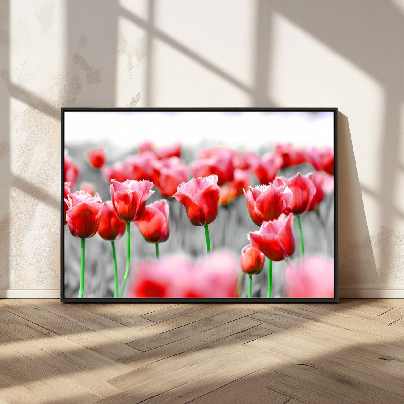 44554-MGV-FC-36X24_Black-Vibrant red tulips stand out beautifully against a black-and-white background, making a striking decor piece perfect for any home
