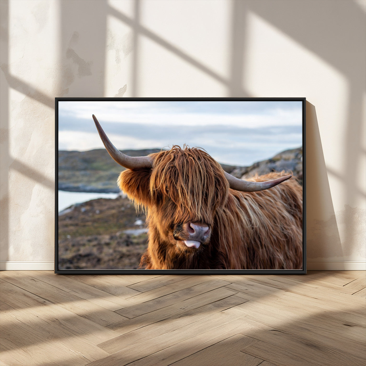 71222-MGV-CV-36X24-A playful Highland cow with shaggy fur sticks out its tongue, set against a rugged landscape — perfect for quirky home or office