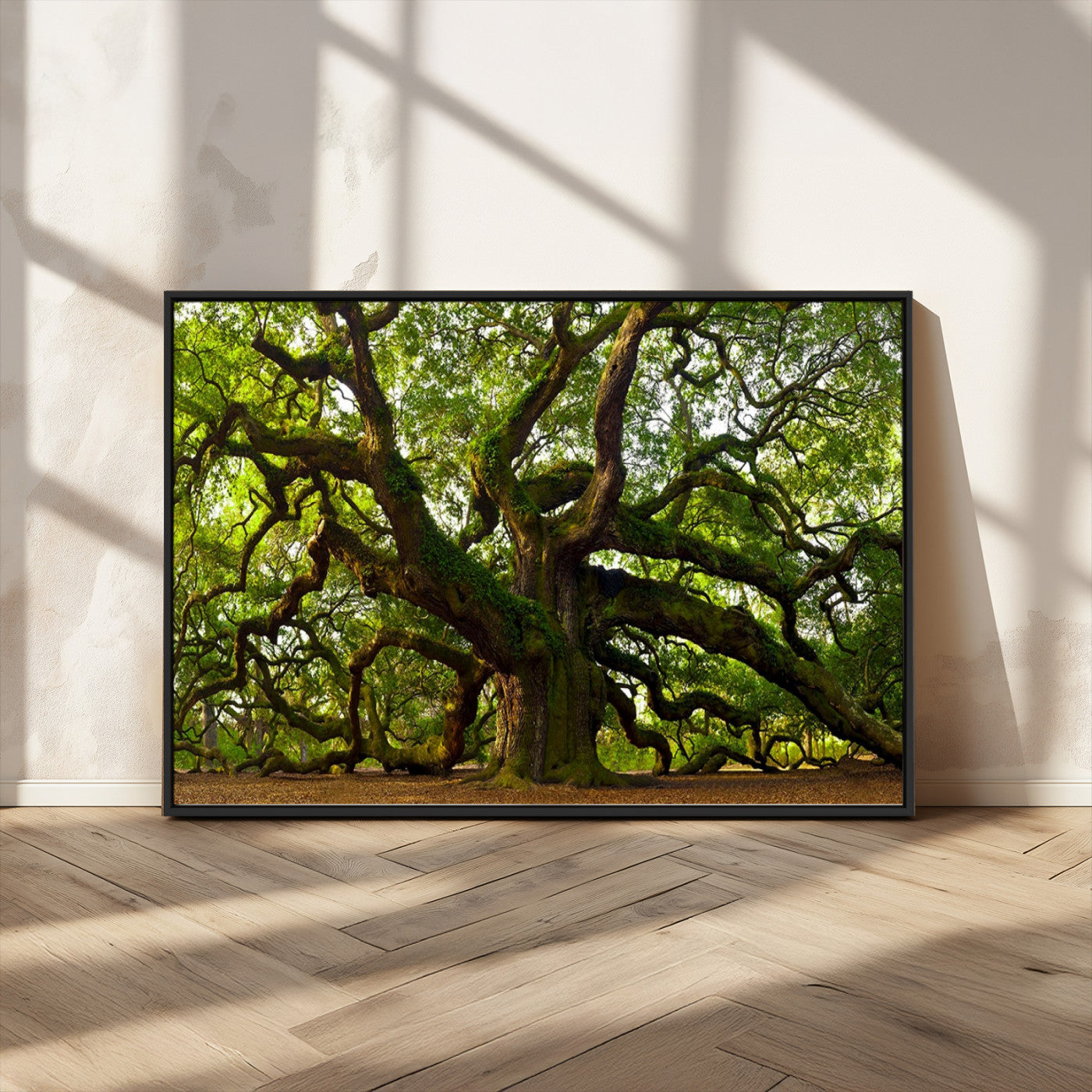29407-MGV-CV-36X24-Ancient Oak Tree Wall Art – Majestic Nature Canvas Print, Large Tree Photography Decor for Living Room