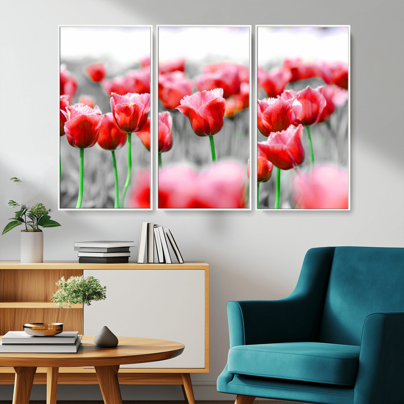 44554-MGV-CV-36X24-Vibrant red tulips stand out beautifully against a black-and-white background, making a striking decor piece perfect for any home