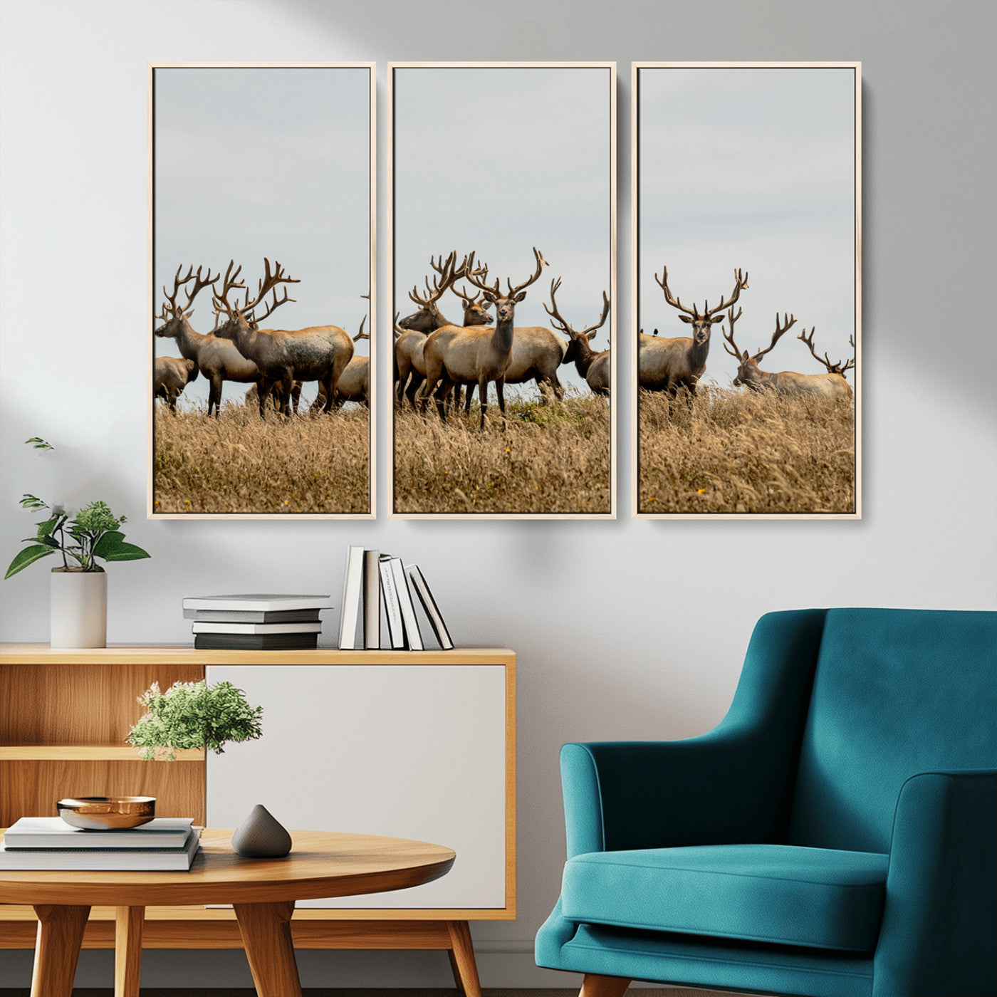 42170220-MGV-CV-36X24-Elk Herd Wall Art Canvas Print, Framed Wildlife Photography Art Picture Print, Majestic Antlers Perfect Rustic Wildlife Decor