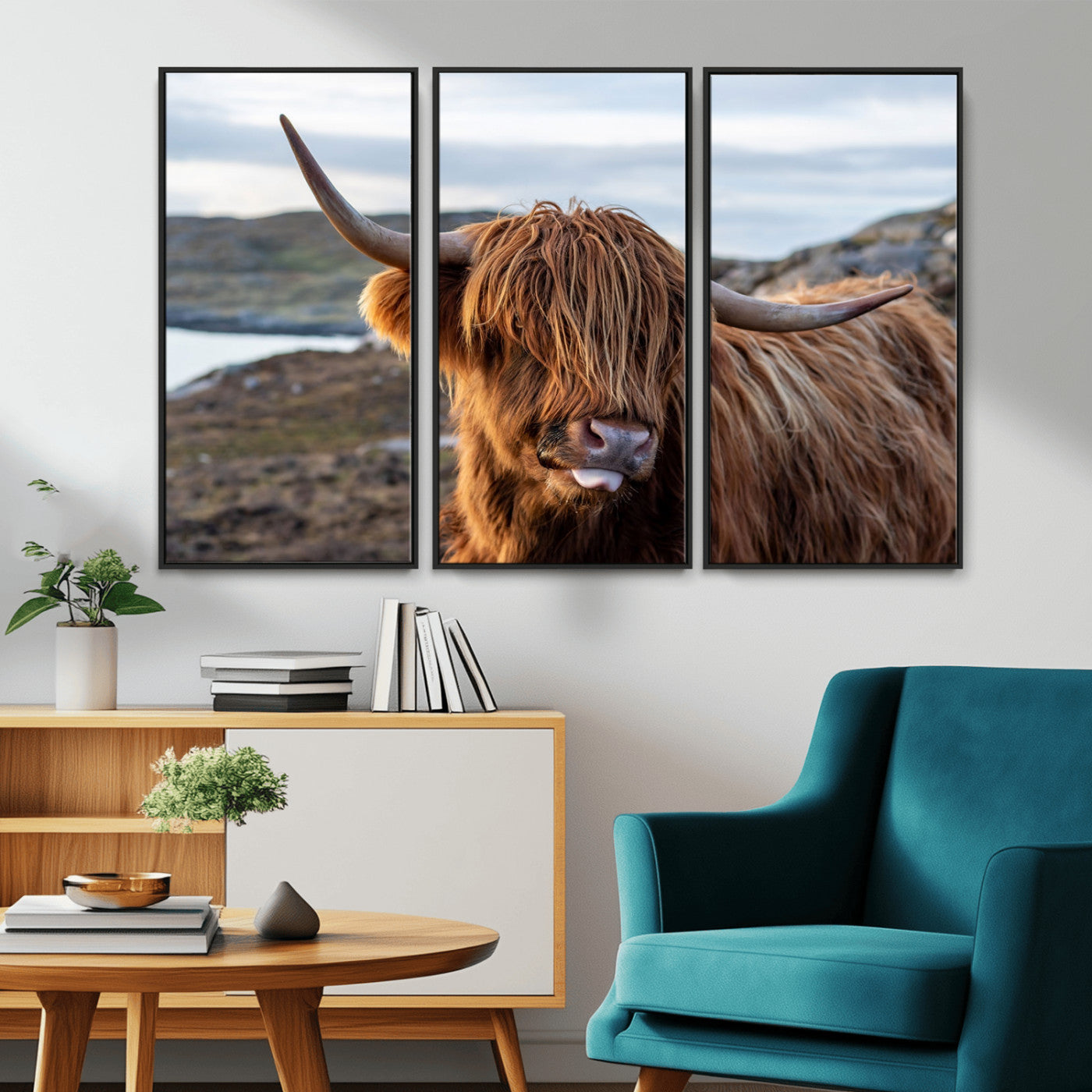 71222-MGV-CV-36X24-A playful Highland cow with shaggy fur sticks out its tongue, set against a rugged landscape — perfect for quirky home or office