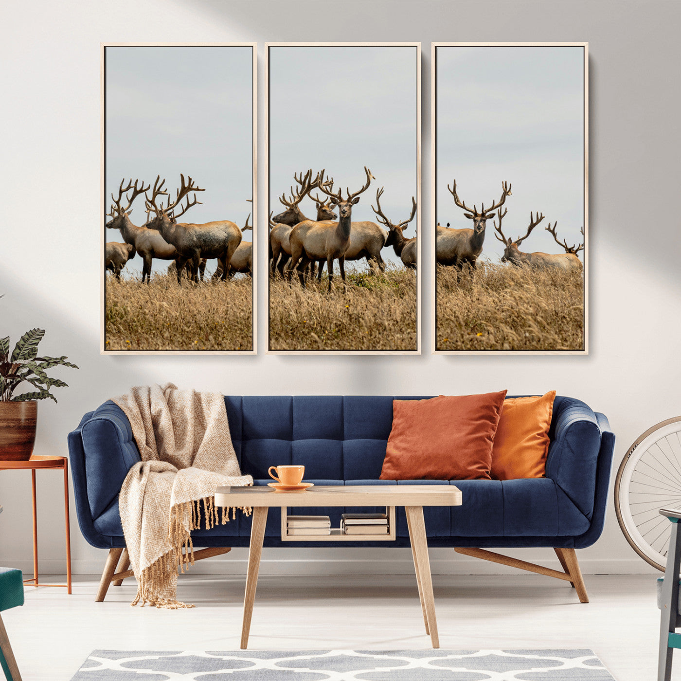 42170220-MGV-CV-36X24-Elk Herd Wall Art Canvas Print, Framed Wildlife Photography Art Picture Print, Majestic Antlers Perfect Rustic Wildlife Decor