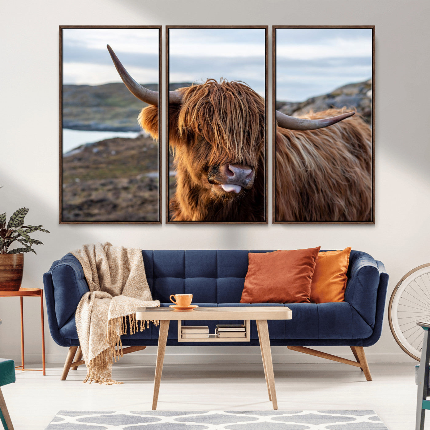 71222-MGV-CV-36X24-A playful Highland cow with shaggy fur sticks out its tongue, set against a rugged landscape — perfect for quirky home or office