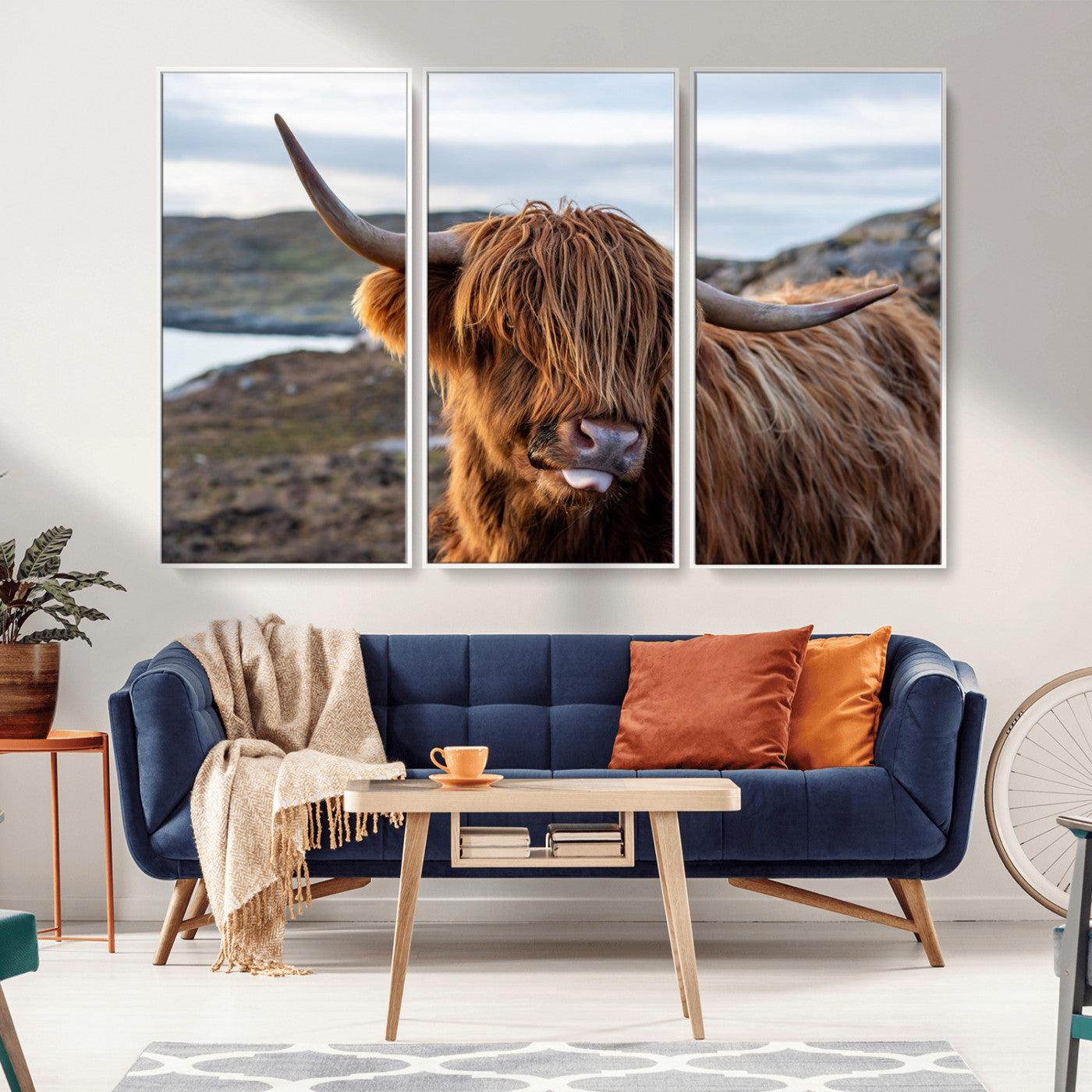 71222-MGV-CV-36X24-A playful Highland cow with shaggy fur sticks out its tongue, set against a rugged landscape — perfect for quirky home or office
