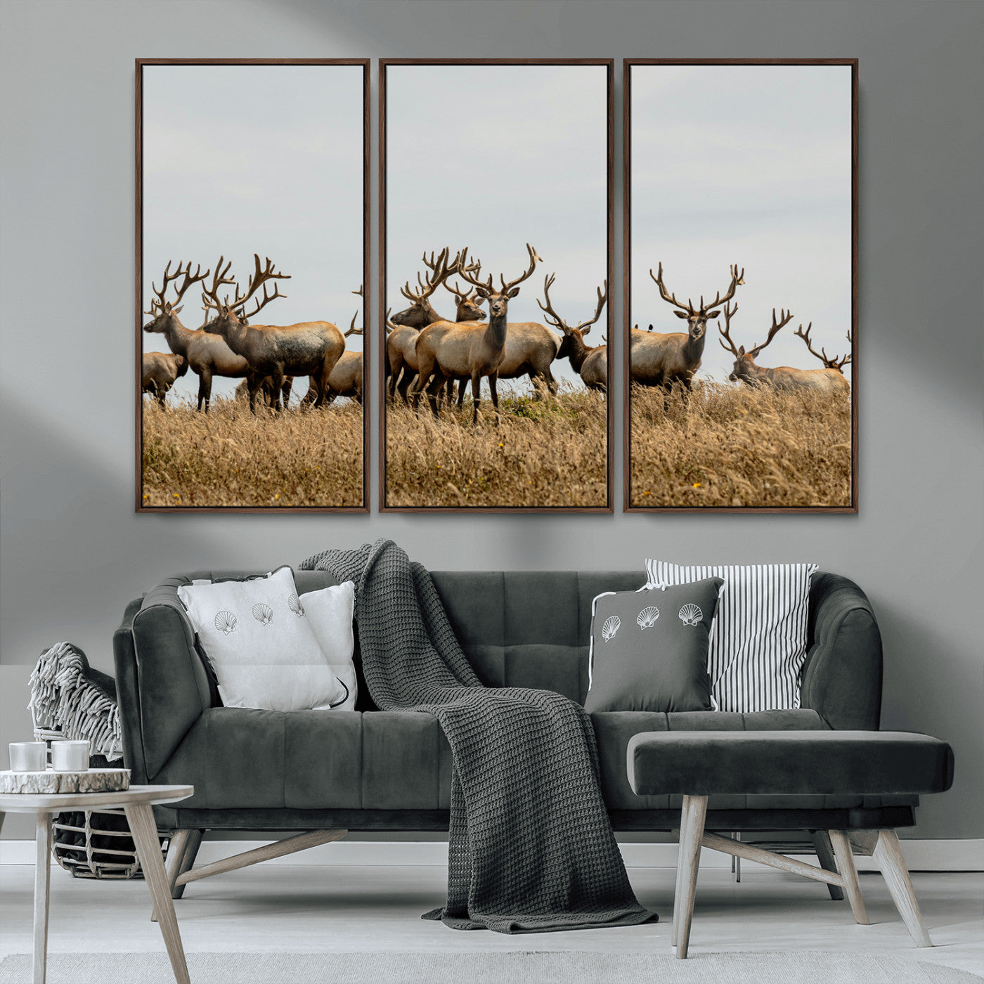 42170220-MGV-CV-36X24-Elk Herd Wall Art Canvas Print, Framed Wildlife Photography Art Picture Print, Majestic Antlers Perfect Rustic Wildlife Decor