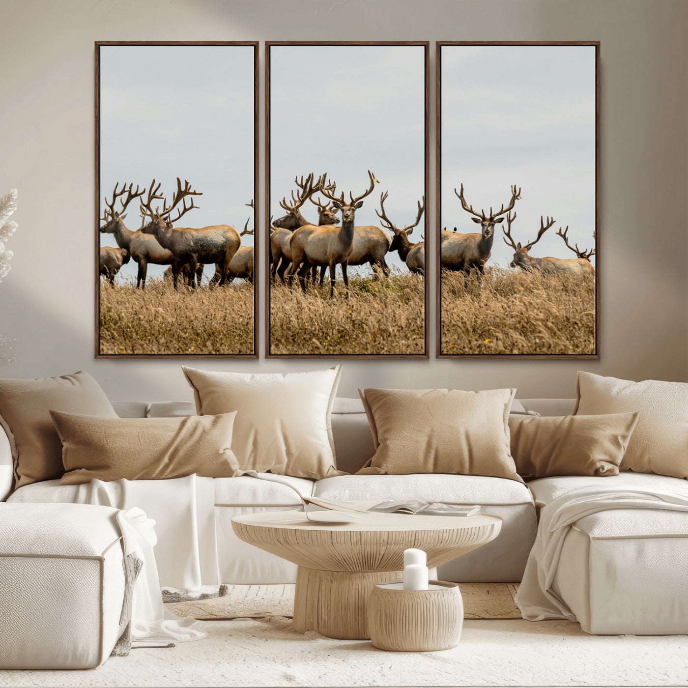 42170220-MGV-CV-36X24-Elk Herd Wall Art Canvas Print, Framed Wildlife Photography Art Picture Print, Majestic Antlers Perfect Rustic Wildlife Decor