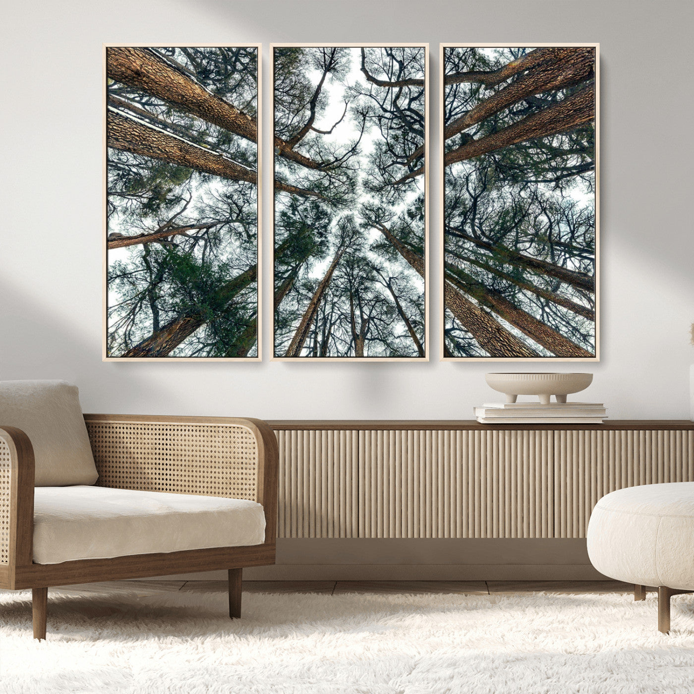 18790-MGV-FC-48X32-3P_Natural-Pine Canopy Wall Art – Panoramic View of Towering Pines Canvas Print, Nature-Inspired Decor for Office, Cabin or Living Room