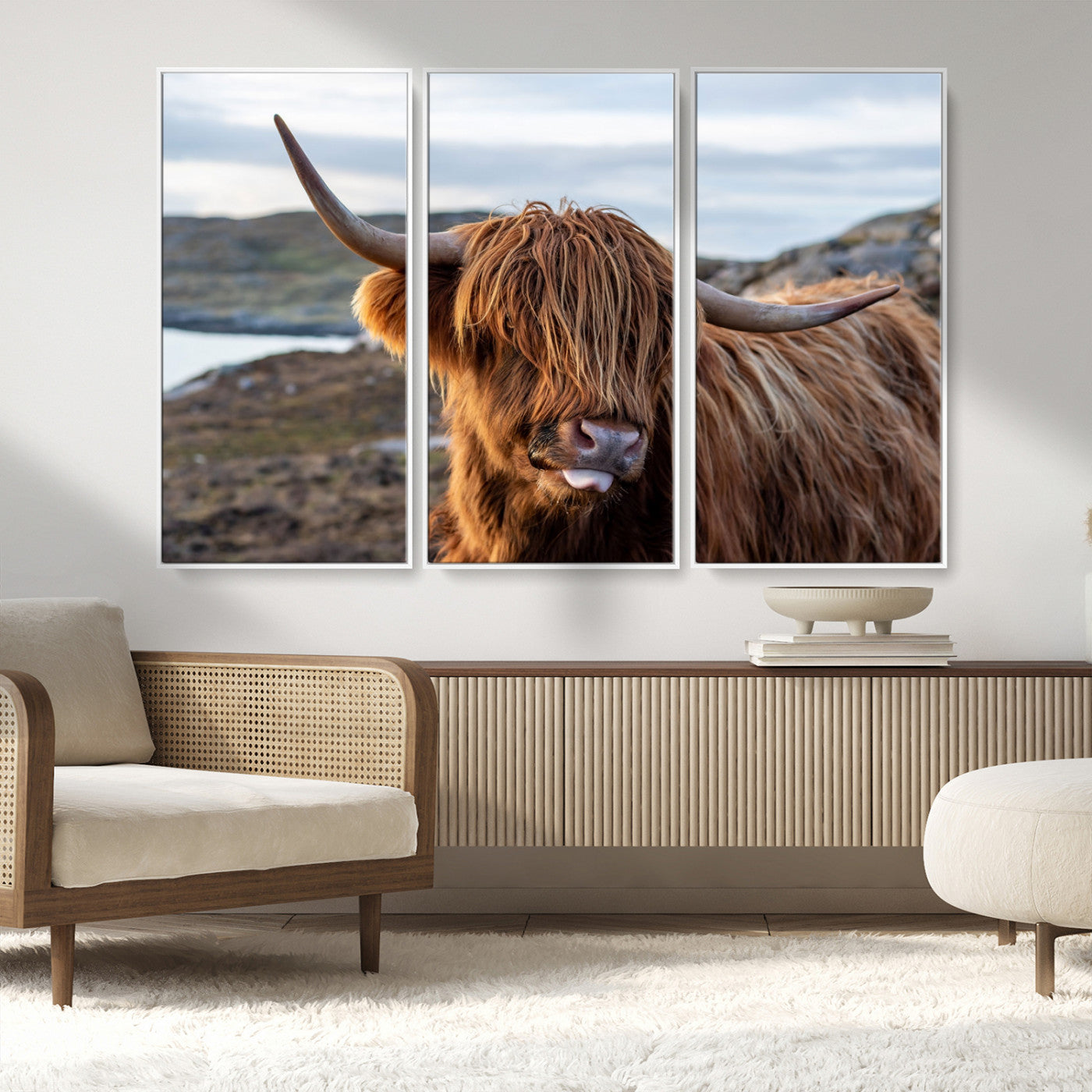 71222-MGV-CV-36X24-A playful Highland cow with shaggy fur sticks out its tongue, set against a rugged landscape — perfect for quirky home or office