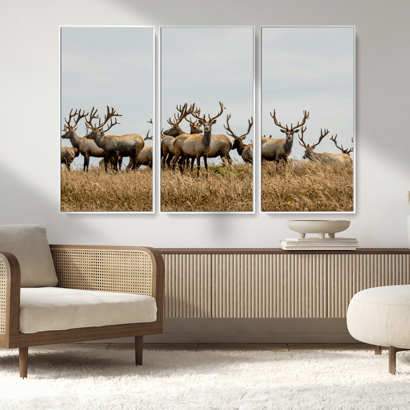 42170220-MGV-FC-48X32-3P_White-Elk Herd Wall Art Canvas Print, Framed Wildlife Photography Art Picture Print, Majestic Antlers Perfect Rustic Wildlife Decor