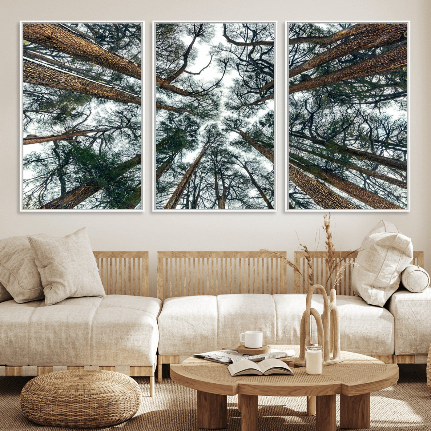 18790-MGV-FC-60X30-3P_White-Pine Canopy Wall Art – Panoramic View of Towering Pines Canvas Print, Nature-Inspired Decor for Office, Cabin or Living Room