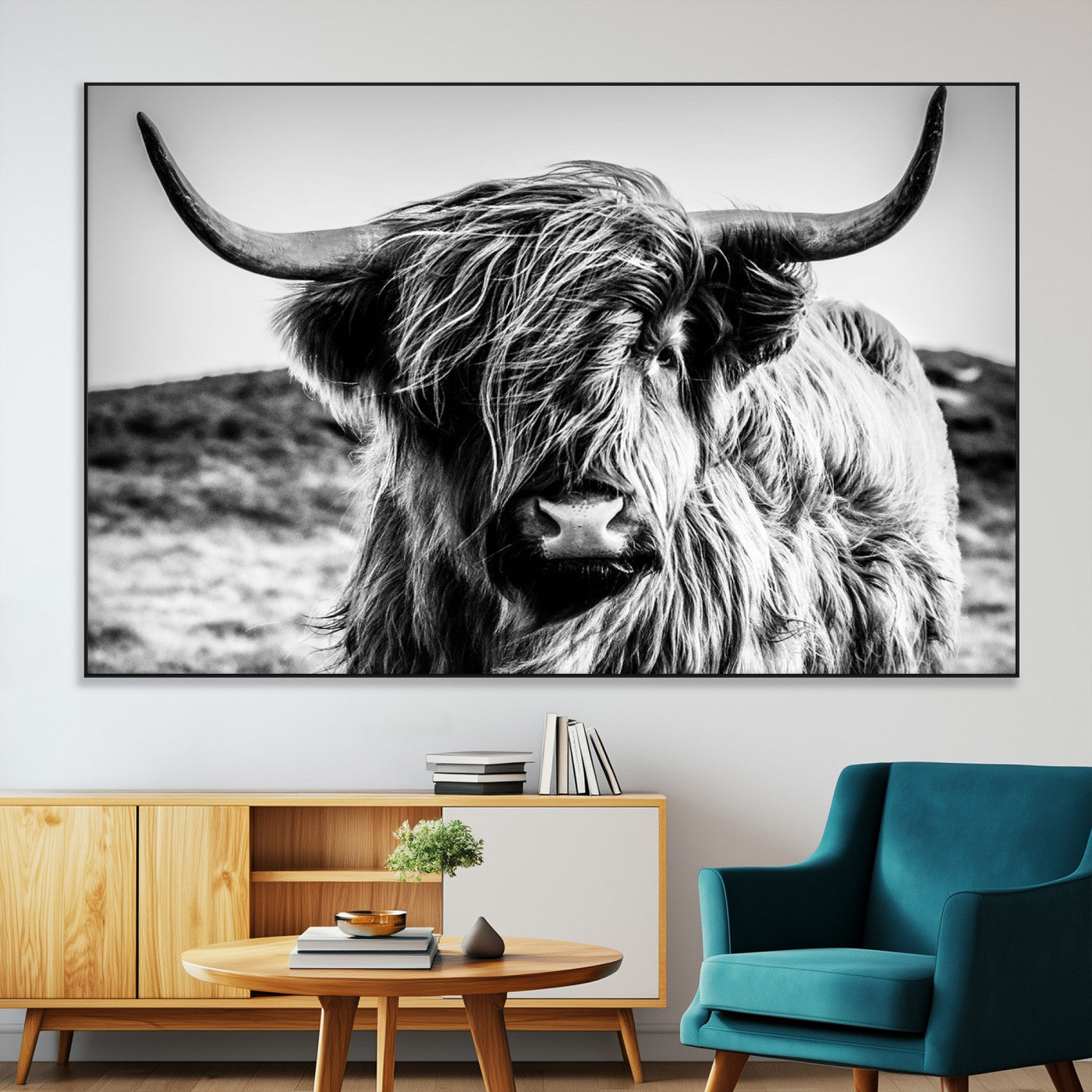 36979-MGV-CV-36X24-Striking black-and-white portrait of a Highland cow with flowing fur and majestic horns, perfect for rustic and elegant home or