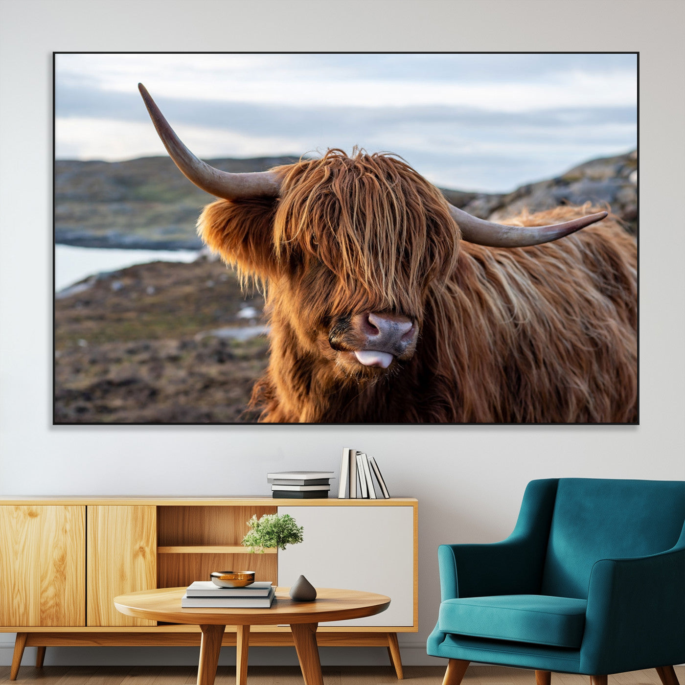 71222-MGV-CV-36X24-A playful Highland cow with shaggy fur sticks out its tongue, set against a rugged landscape — perfect for quirky home or office