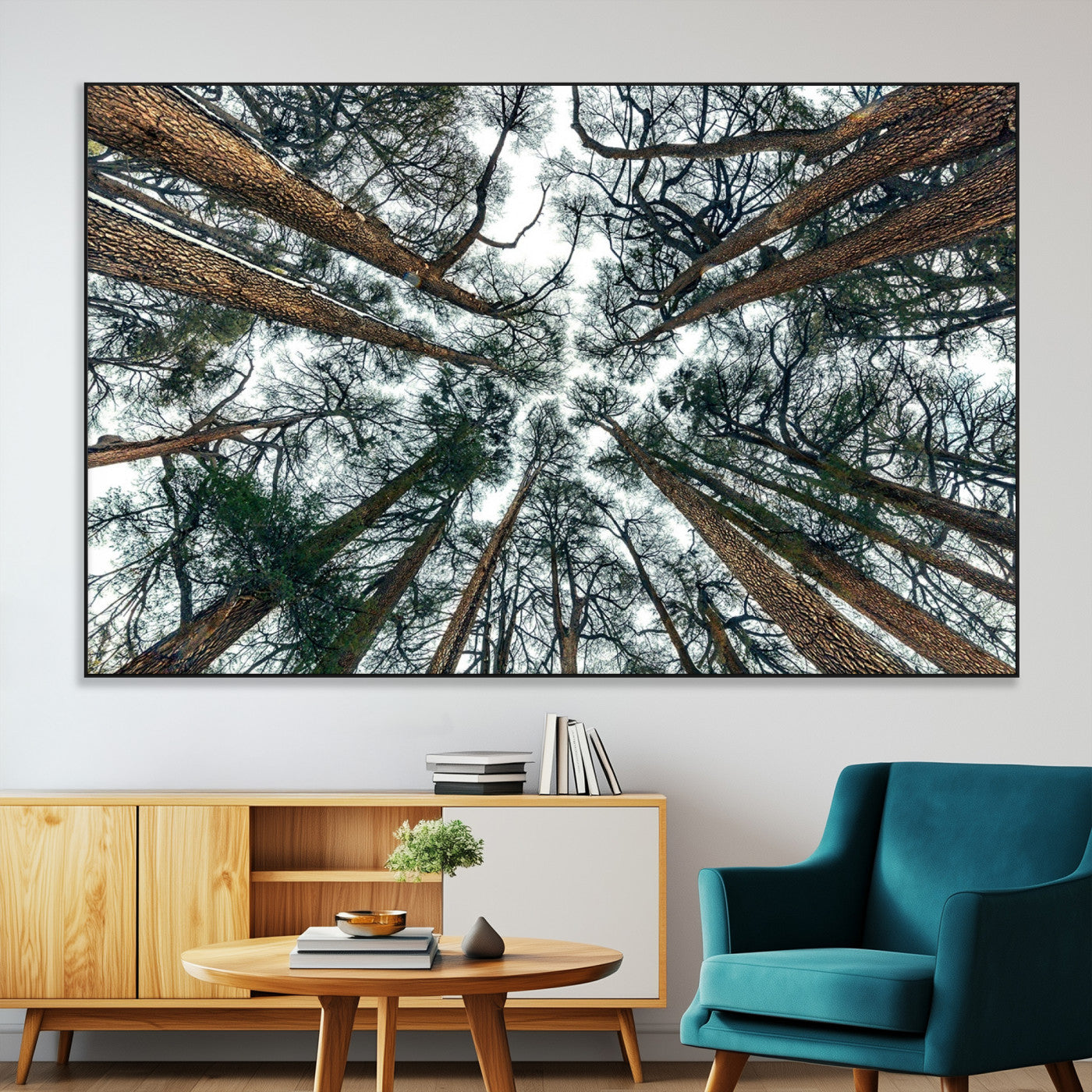 18790-MGV-CV-36X24-Pine Canopy Wall Art – Panoramic View of Towering Pines Canvas Print, Nature-Inspired Decor for Office, Cabin or Living Room