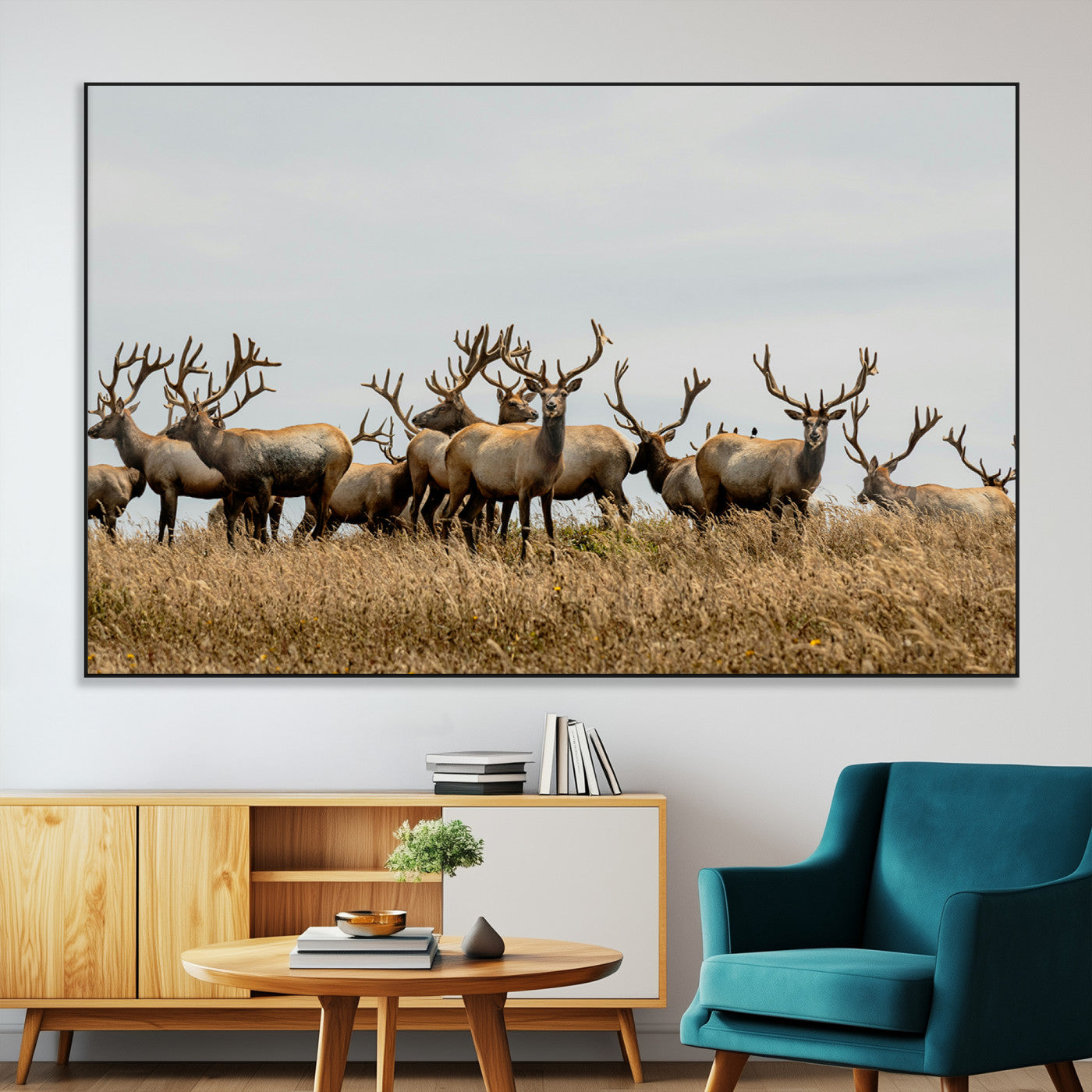 42170220-MGV-CV-36X24-Elk Herd Wall Art Canvas Print, Framed Wildlife Photography Art Picture Print, Majestic Antlers Perfect Rustic Wildlife Decor