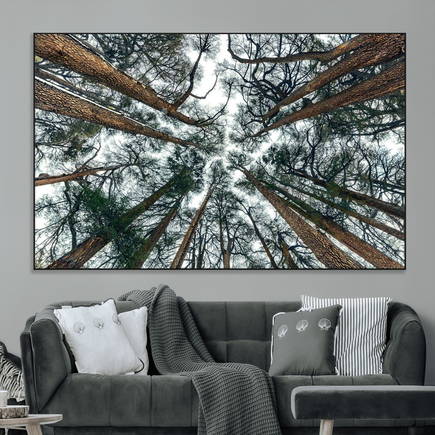 18790-MGV-CV-36X24-Pine Canopy Wall Art – Panoramic View of Towering Pines Canvas Print, Nature-Inspired Decor for Office, Cabin or Living Room