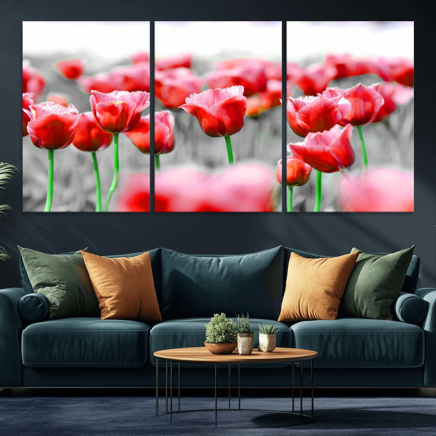 44554-MGV-CV-36X24-Vibrant red tulips stand out beautifully against a black-and-white background, making a striking decor piece perfect for any home